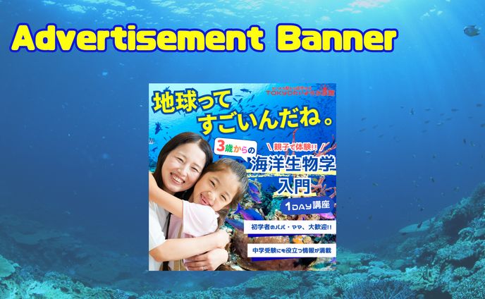 ただいま準備中
