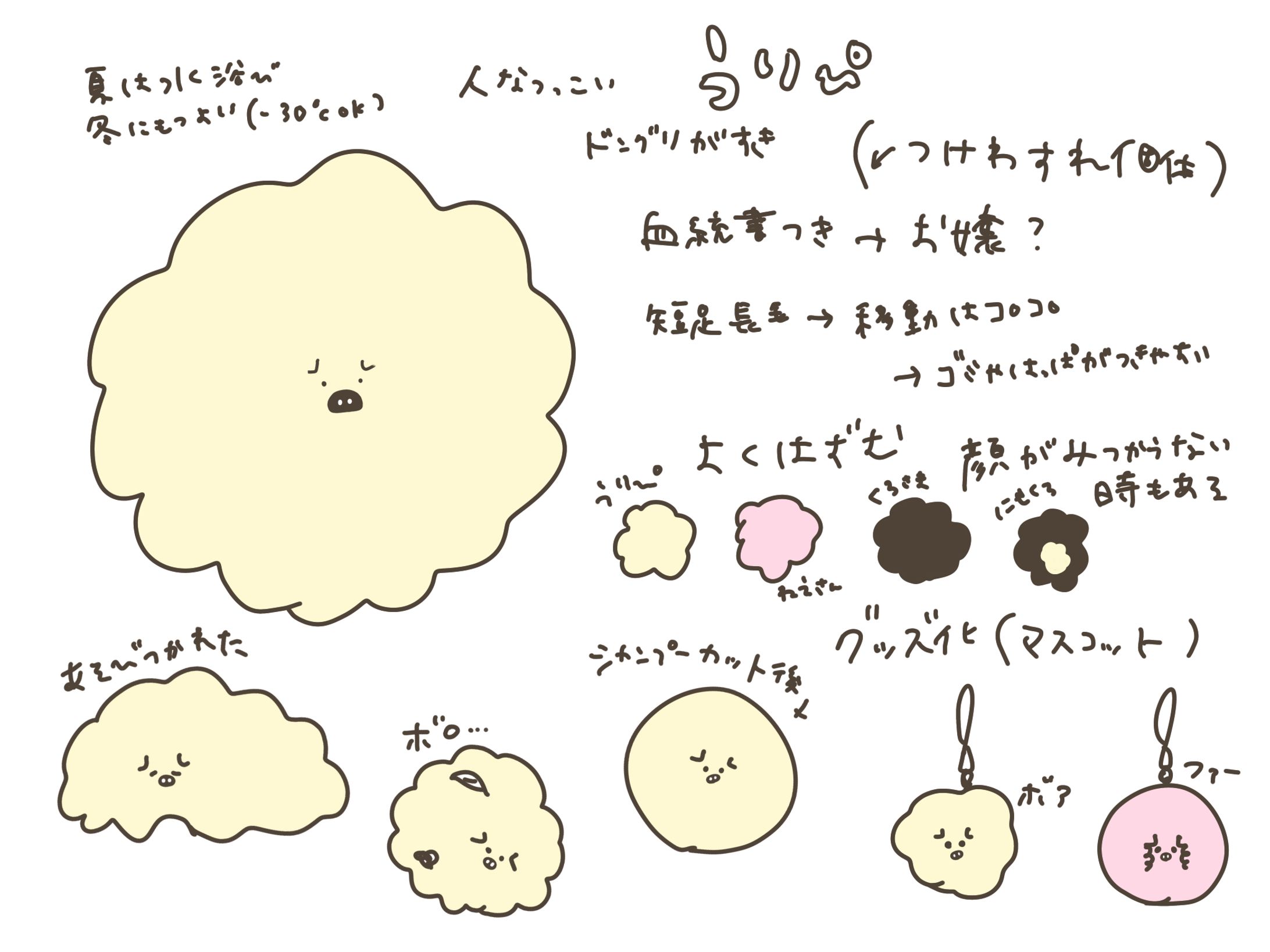 ▲設定作成時のメモ ▲設定作成時のメモ