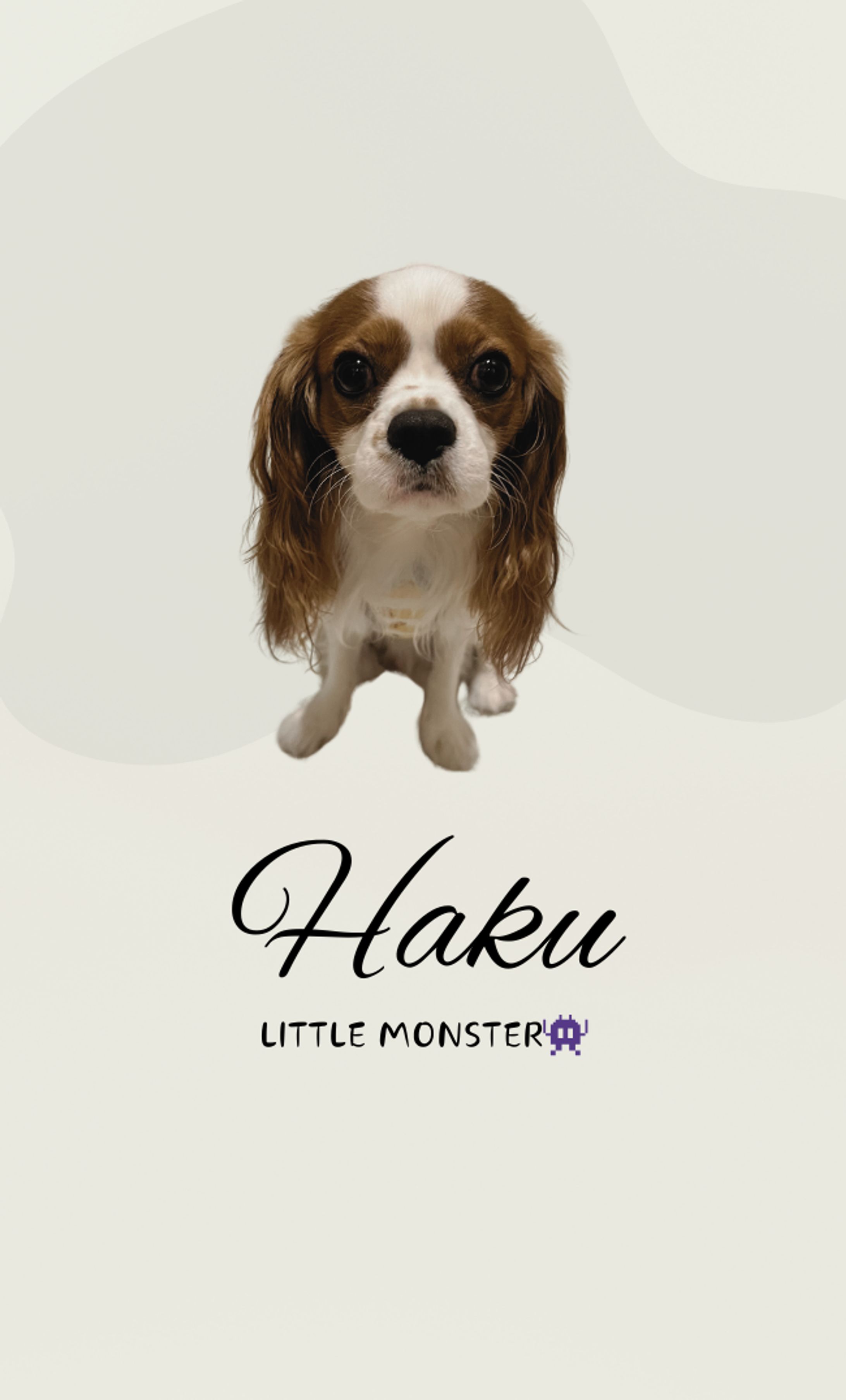 【名刺】サンプル-1