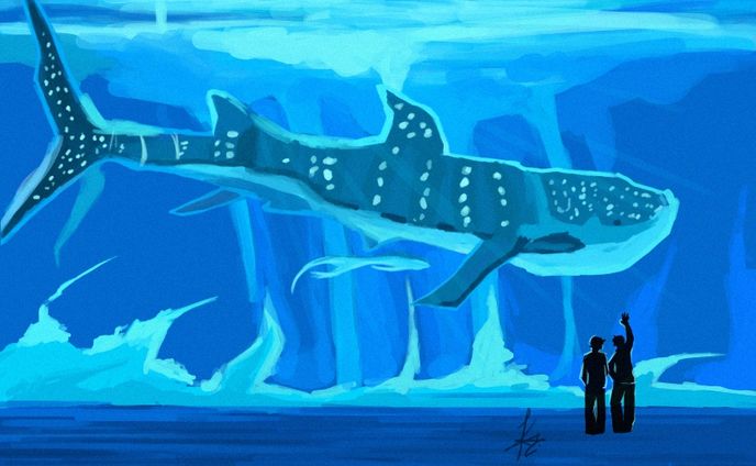 WHALE SHARK