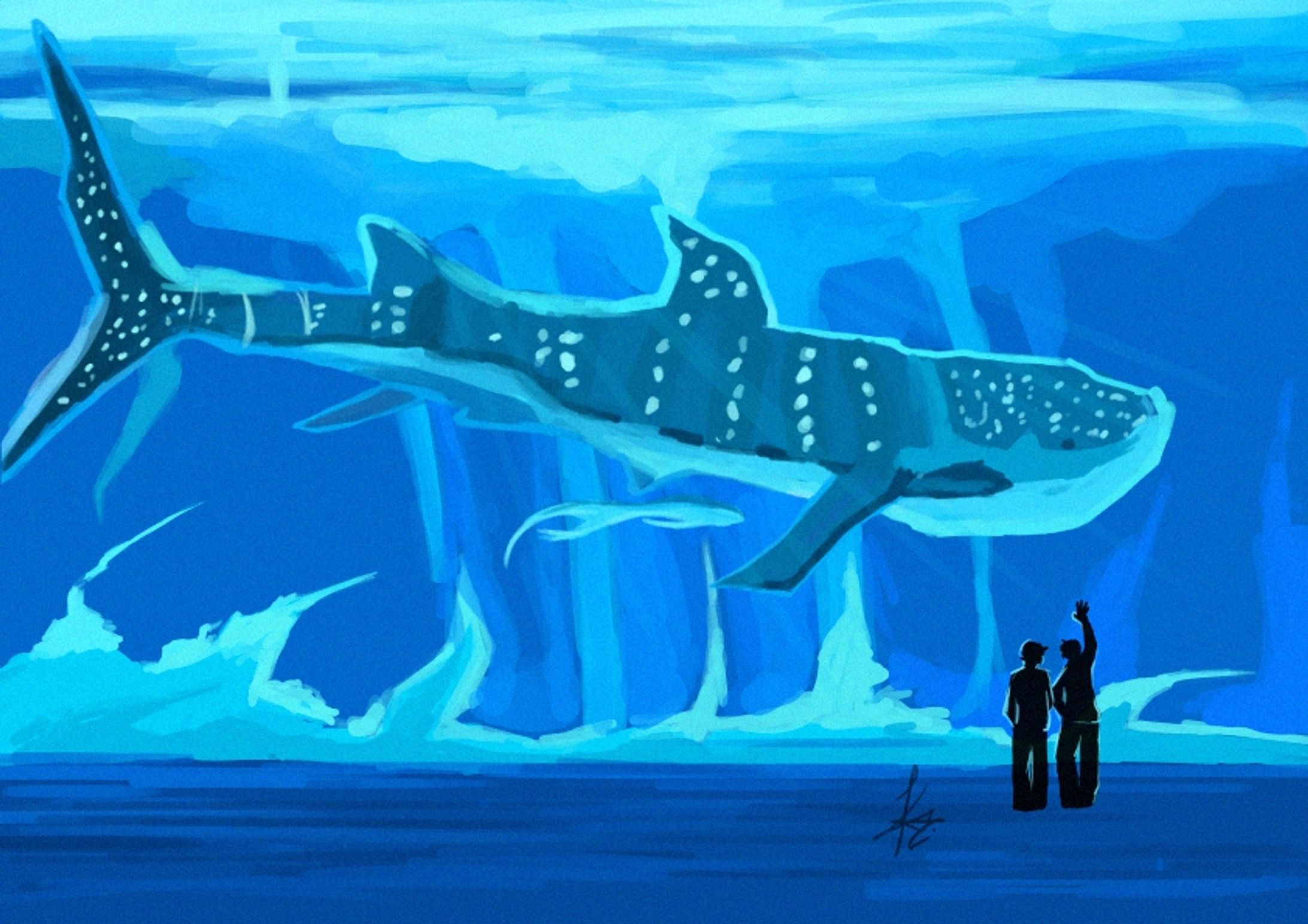 WHALE SHARK-1