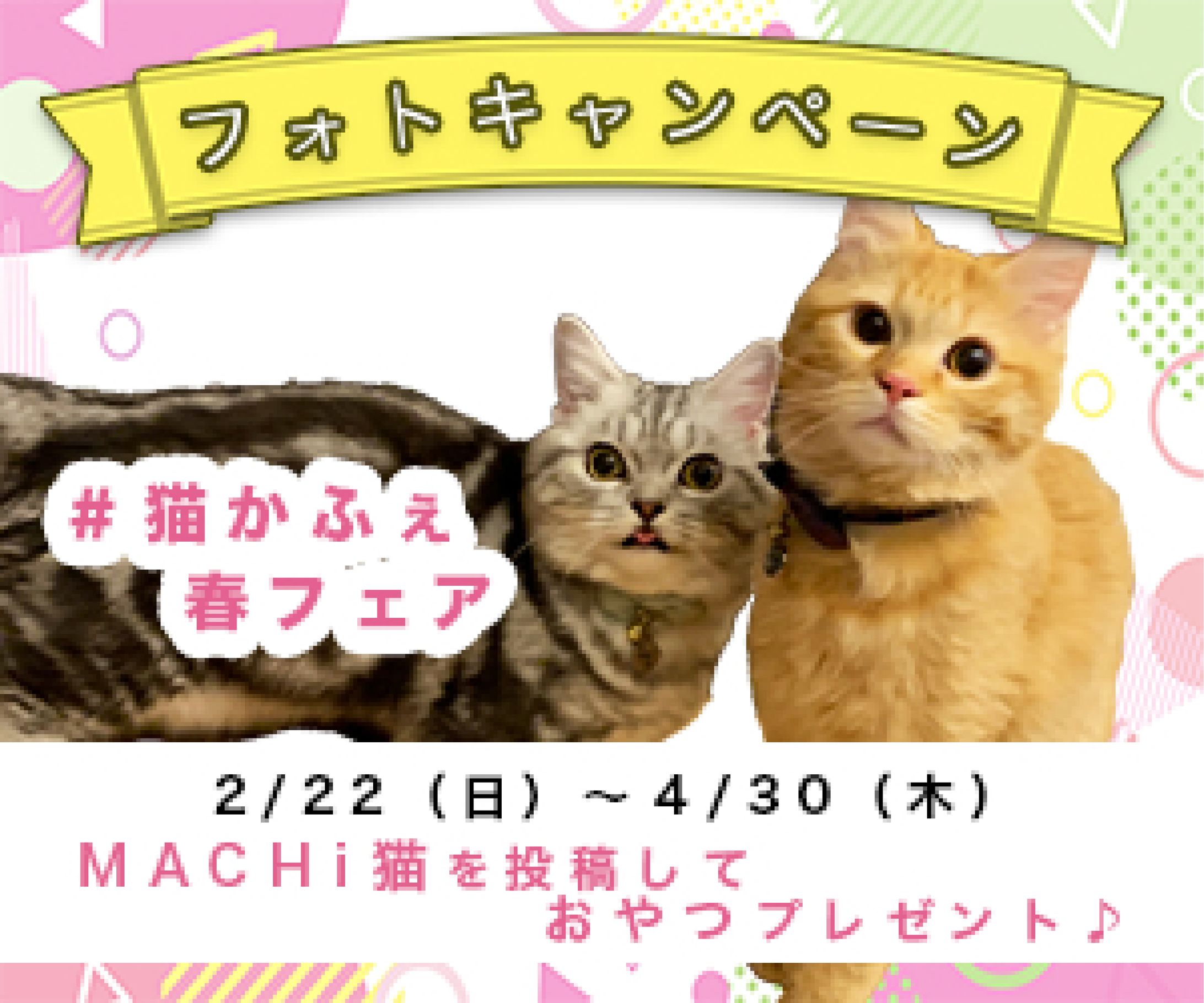 猫かふぇイベント告知（架空）バナー（300x250）-1