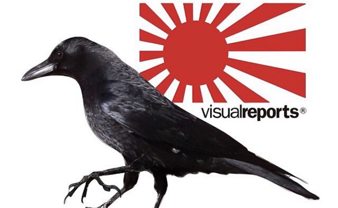 Visualreports 『八咫烏』