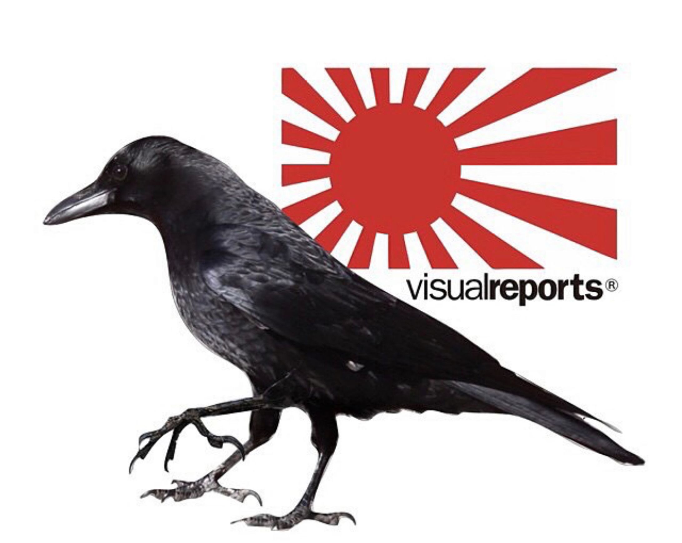 Visualreports 『八咫烏』-1