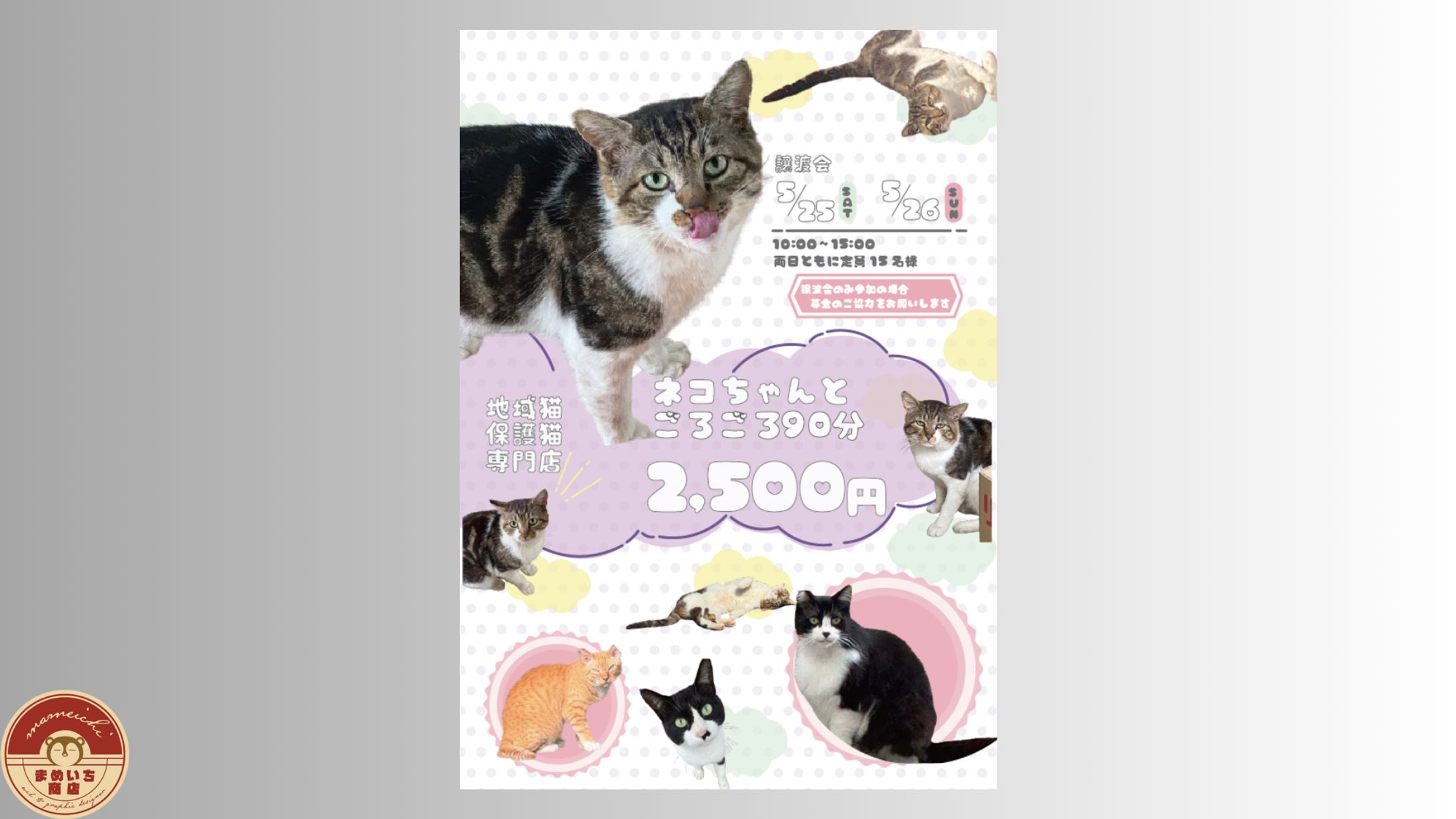 カフェ｜保護猫カフェCats様-1