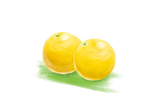 湘南ゴールドイラスト