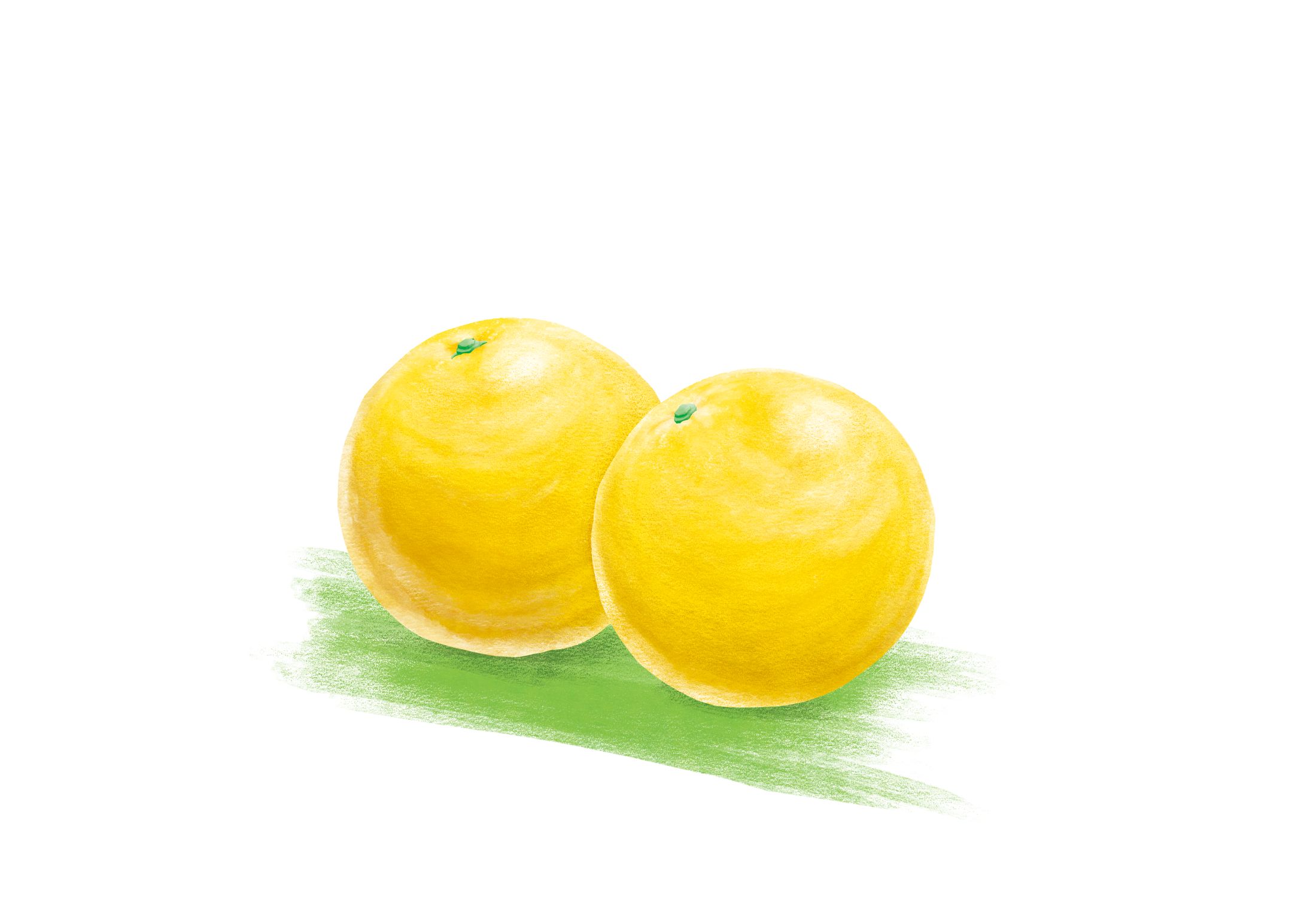湘南ゴールドイラスト-1