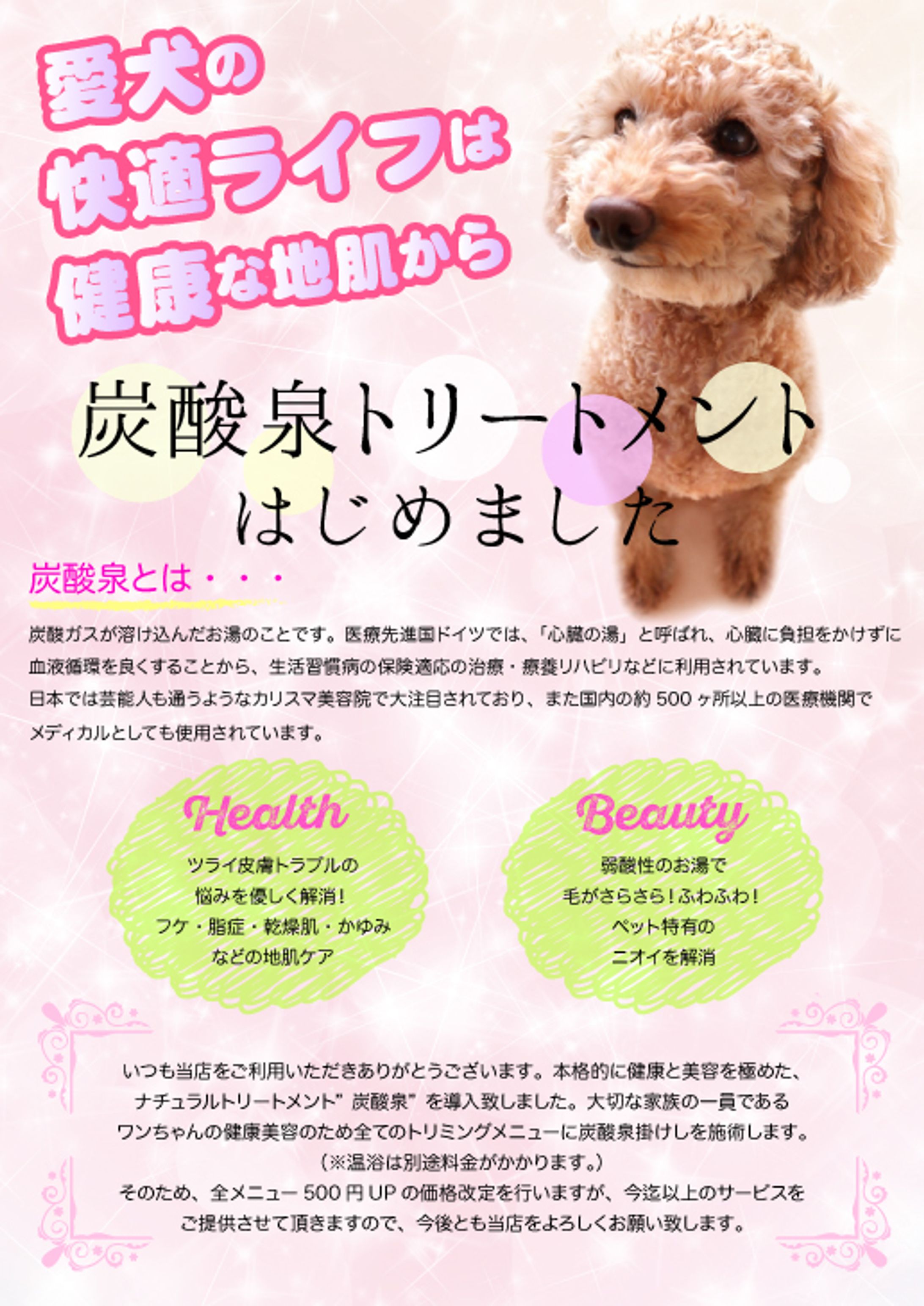 ペットサロンのチラシ-1