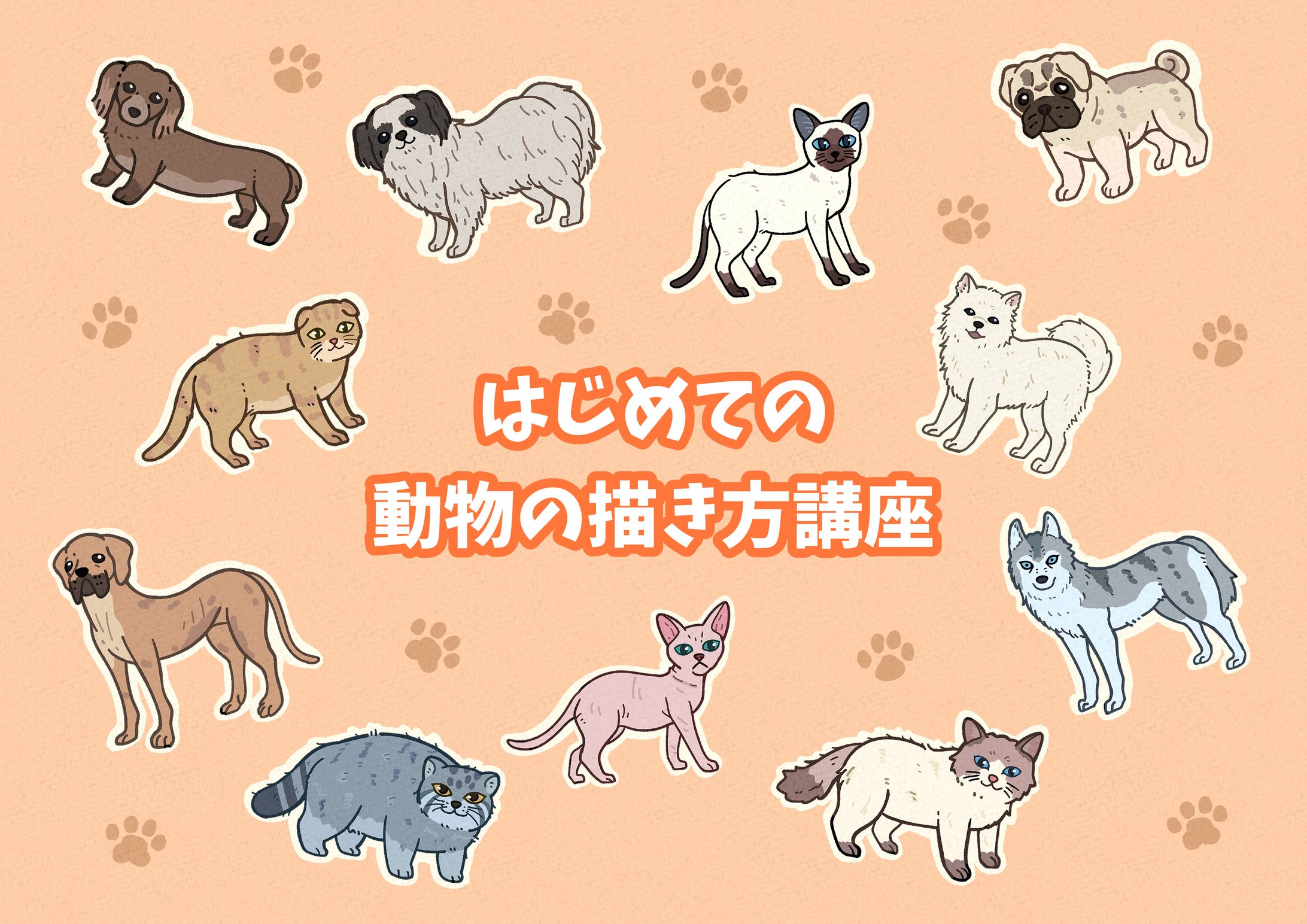 動物の描き方講座　使用スライド-1