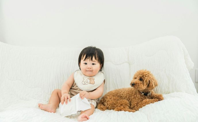 ミリタリー、個人活動者様