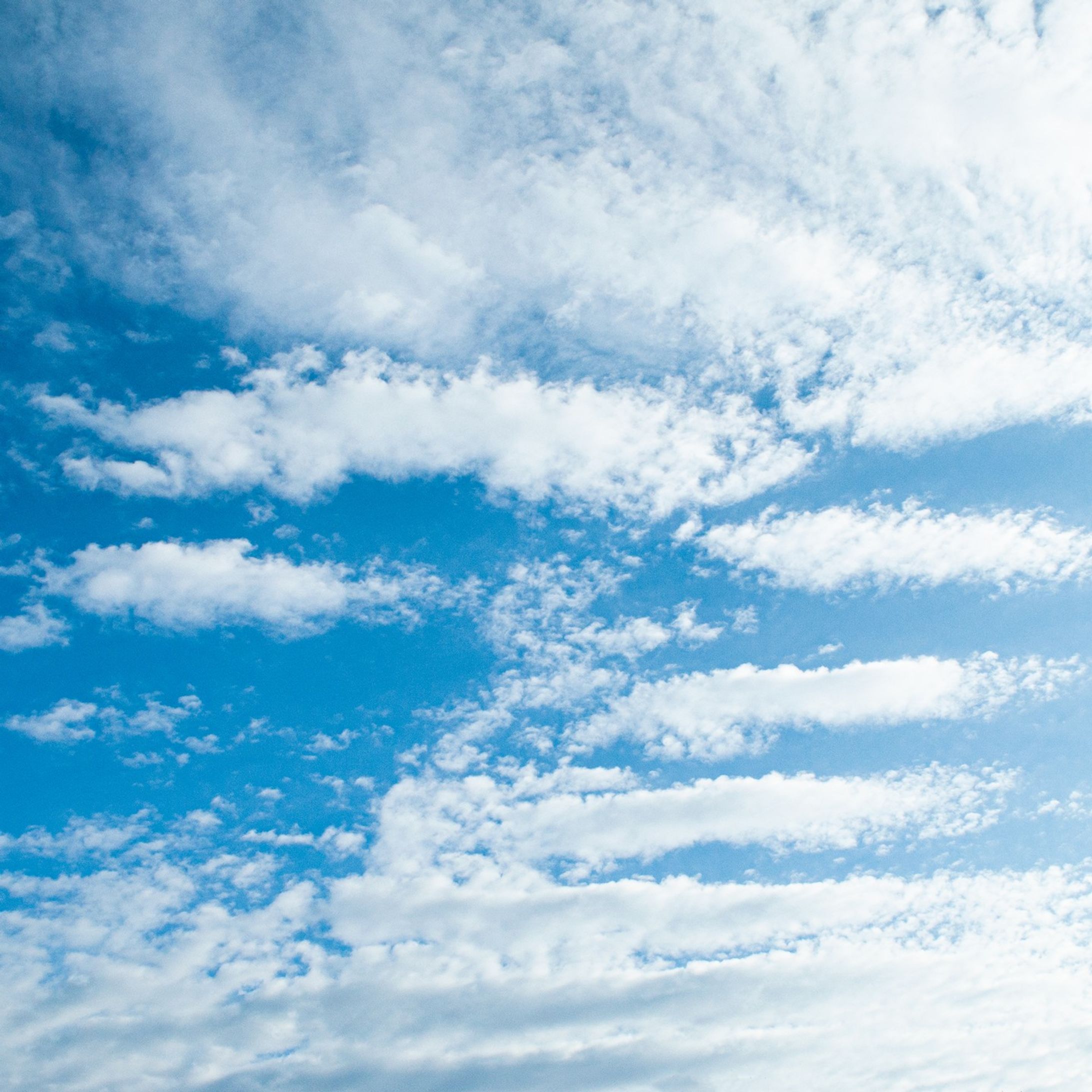 #イマソラ #空 #青空 #いまそら #イマソラ #天気 #雲 #虹 #自然 #今日の空 #ファインダー越しの私の世界 #写真好きと繋がりたい #空好きと繋がりたい
#カメラ好きと繋がりたい #長野県 #信州 #sky #skyblue #sky_love #skylove #skylover #skylovers #skyporn #skysnappers #sky_captures #cloud #clouds #blue #rainbow
#Nikon#D5000-1