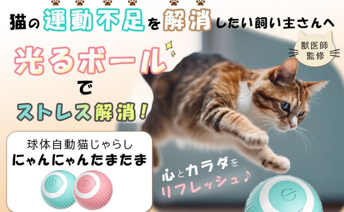 ねこのおもちゃ　LPファーストビュー　