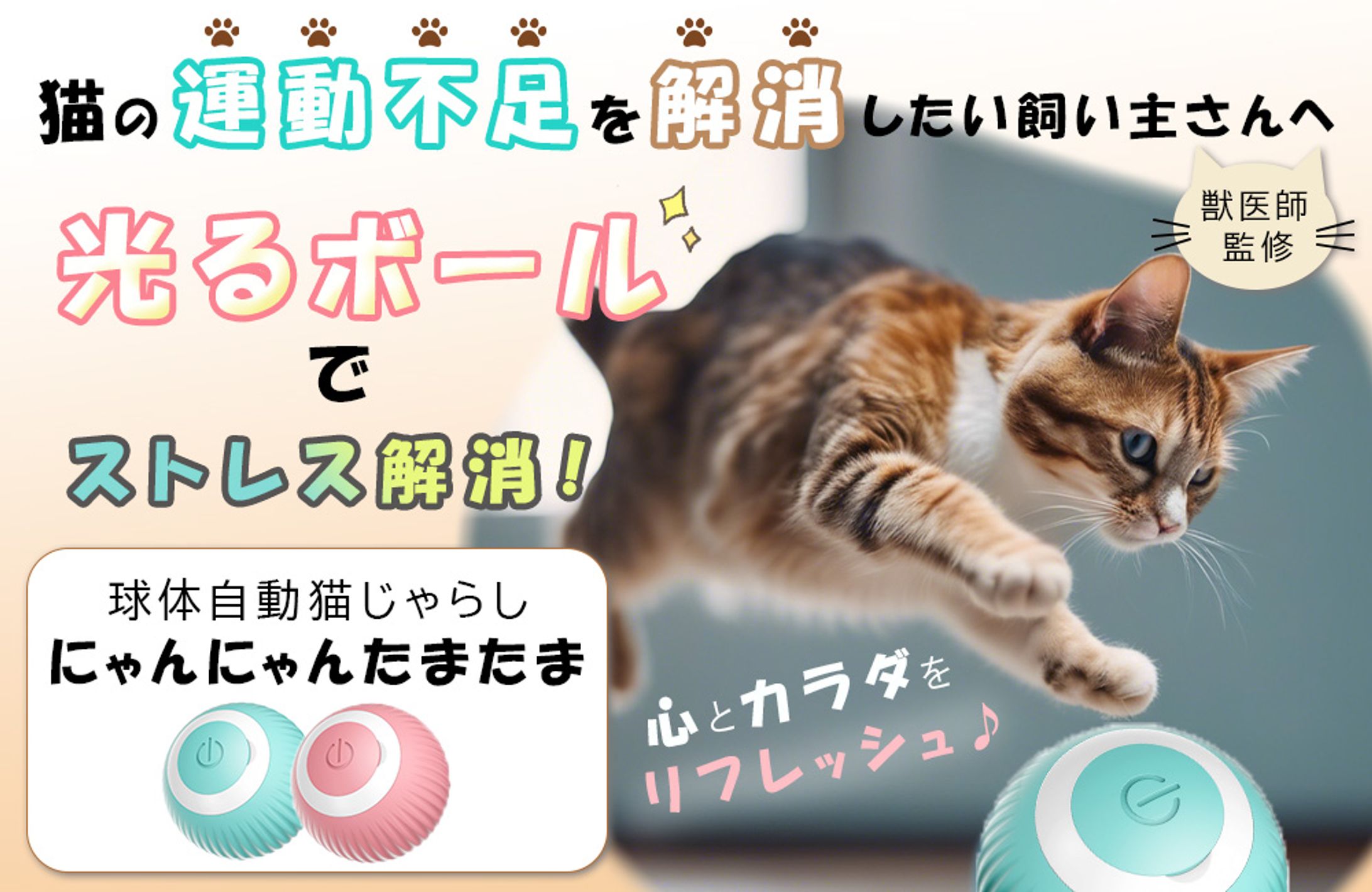 ねこのおもちゃ　LPファーストビュー　-1