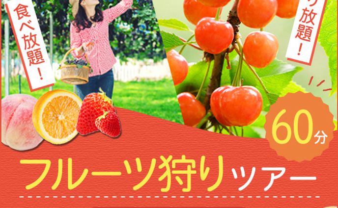 バナー：フルーツ狩り