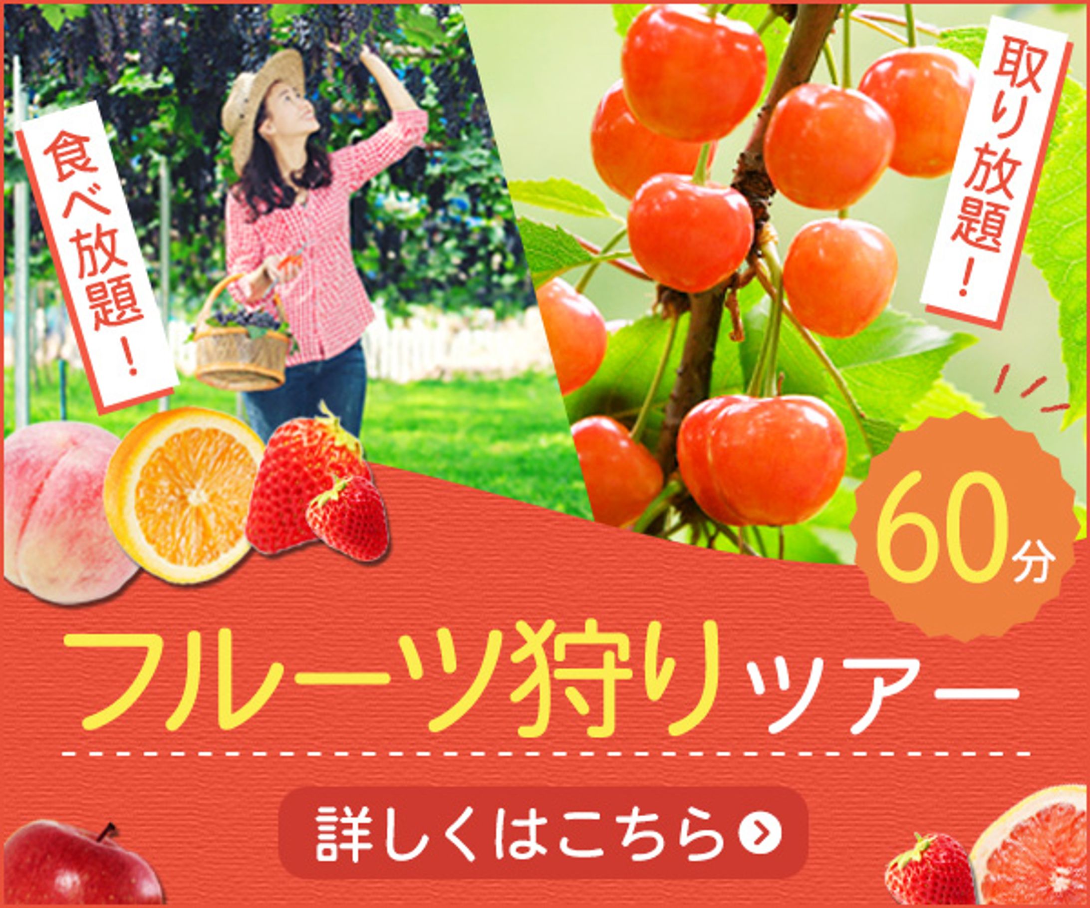 バナー：フルーツ狩り-1