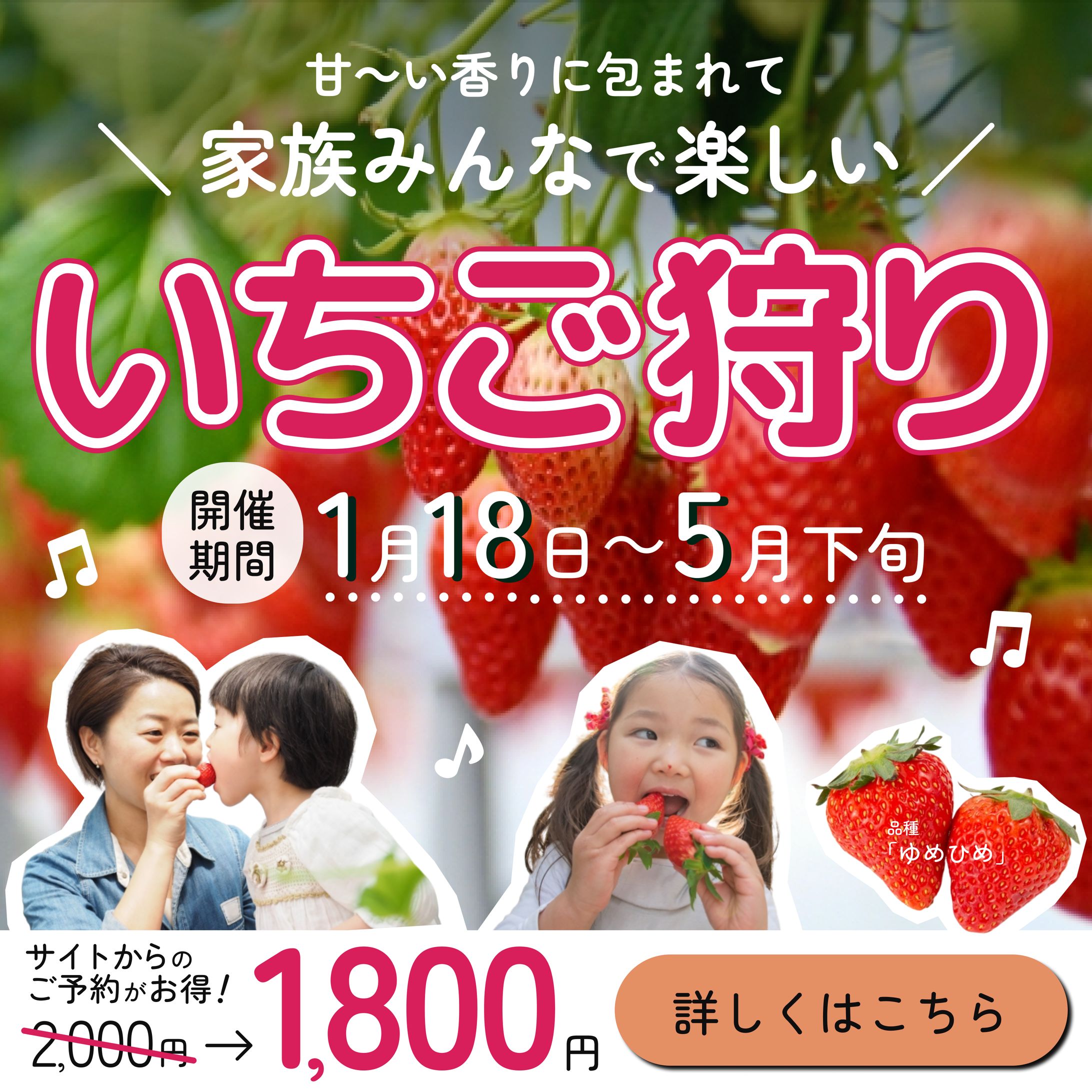 【自主制作】いちご狩りバナー-1