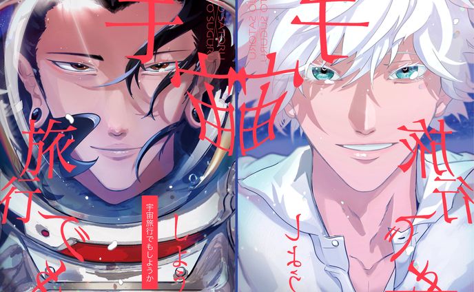 Fan_book cover