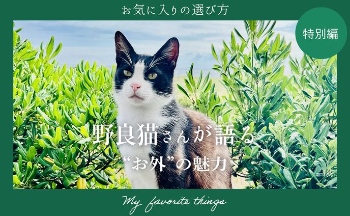 ★サムネイル_トレース