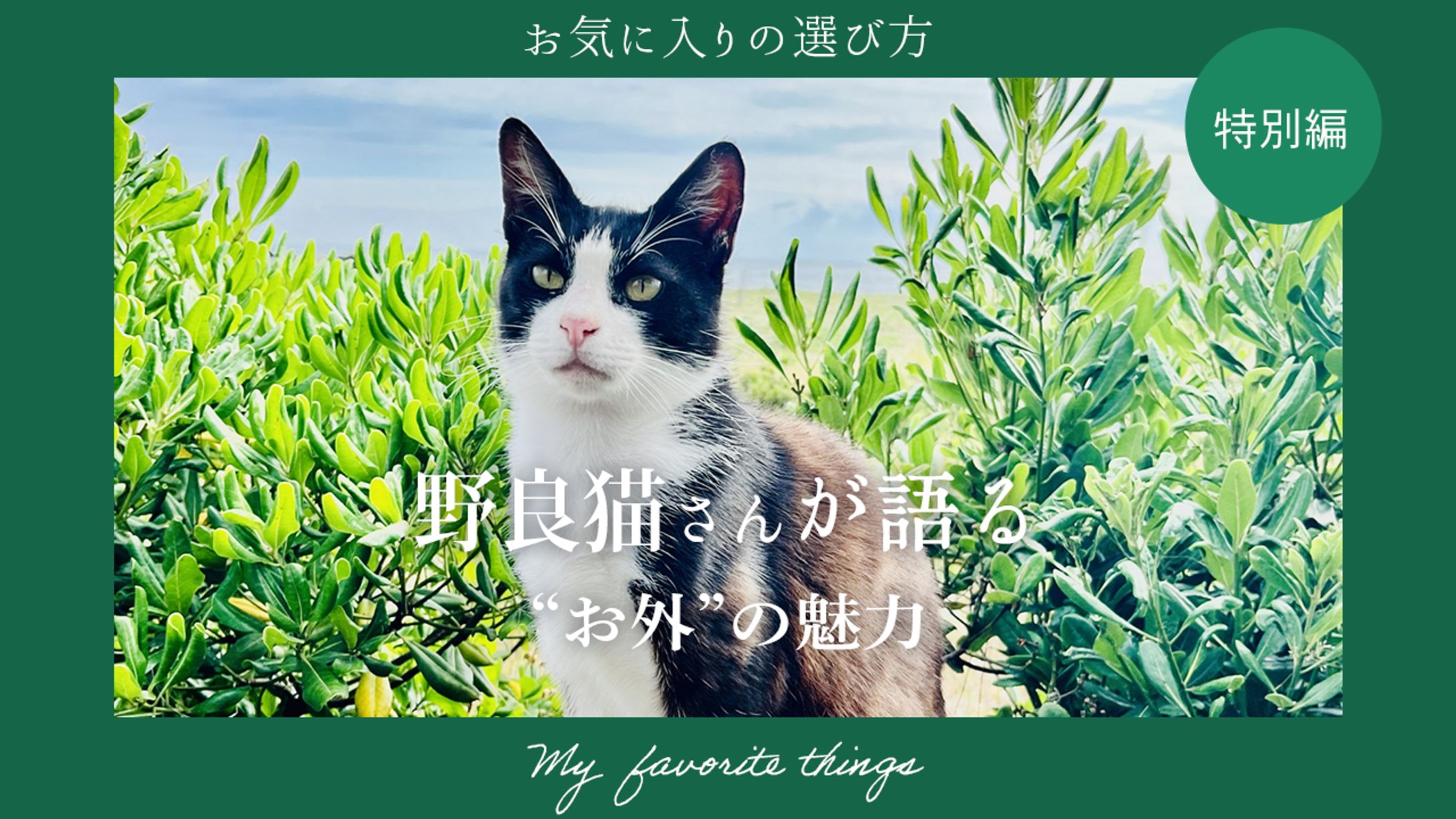 ★サムネイル_トレース-1