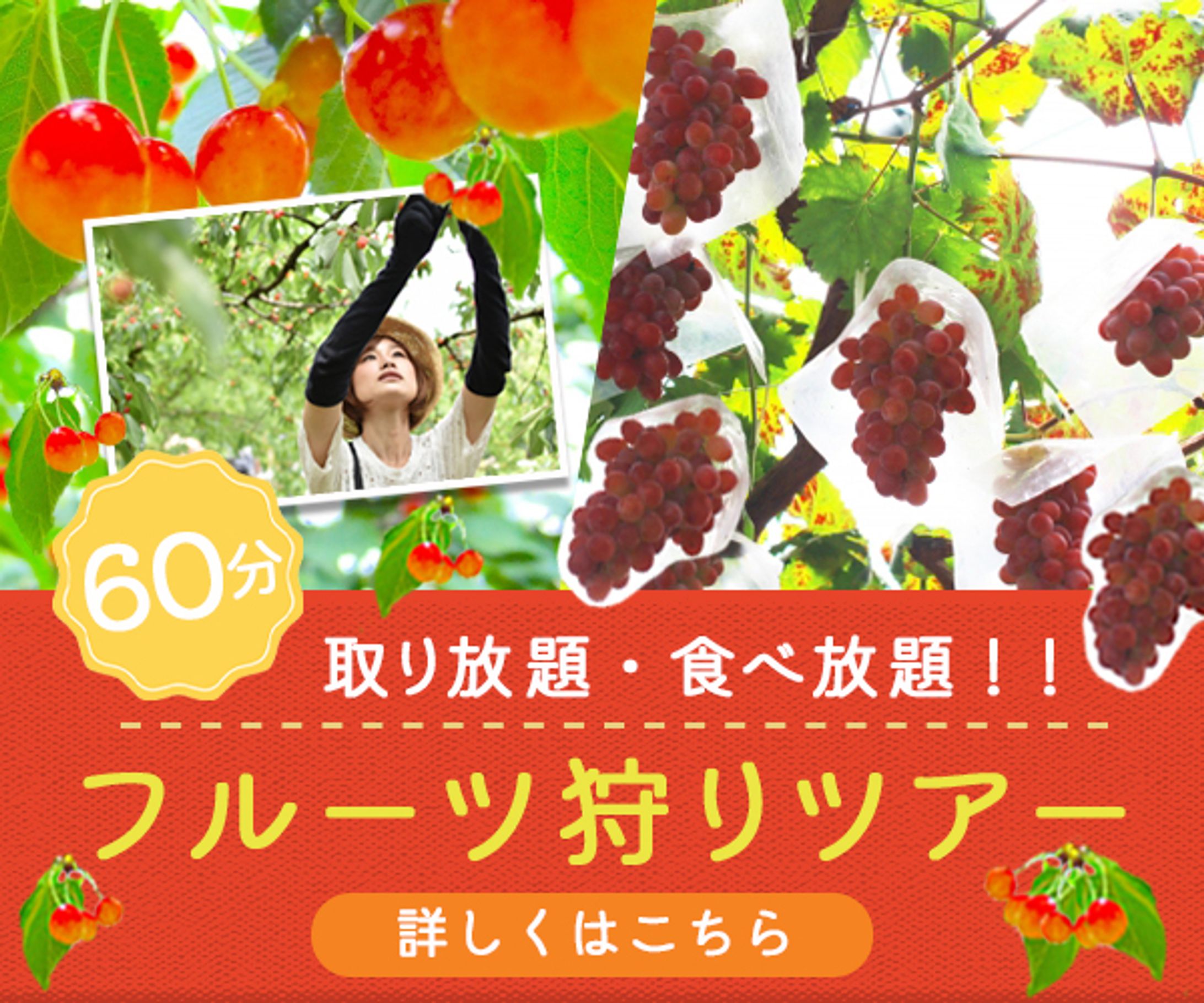 フルーツ狩りバナー-1