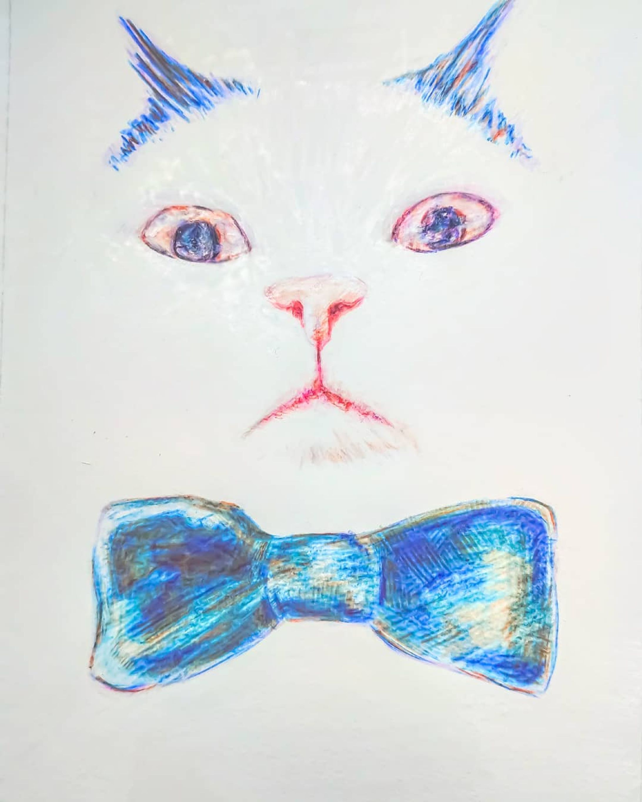 お絵かきしたよ！
ちょっとずつ最新作品描いてるよ～

（182×128mm）／紙・色鉛筆

 #保護猫  #catstagram #petstagram #instacat   #cats  #animal  #cute #白猫  #ねこ #元野良猫 #ねこ好き  #にゃんこ #whitecat 
#animalillustration  #animal  #かわいい #色鉛筆 #colorpencil  #cute #animalartist #animaldrawing #realist #イラスト  #illust #illustration #illustrator  #draw #drawing   #artwork #artist   #works  #外出自粛-1