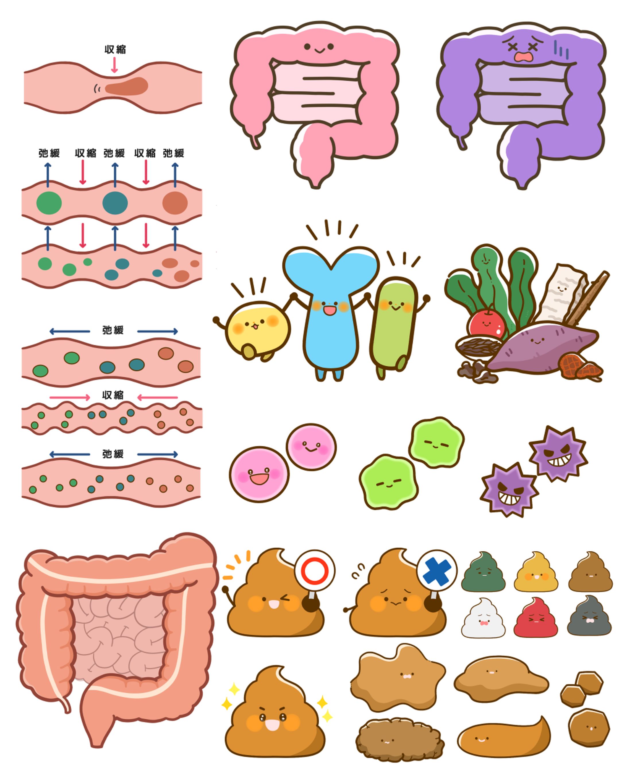 腸とお腹の健康に関するイラスト-1