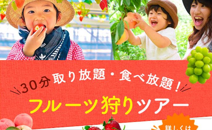 バナー　フルーツ狩りツアー