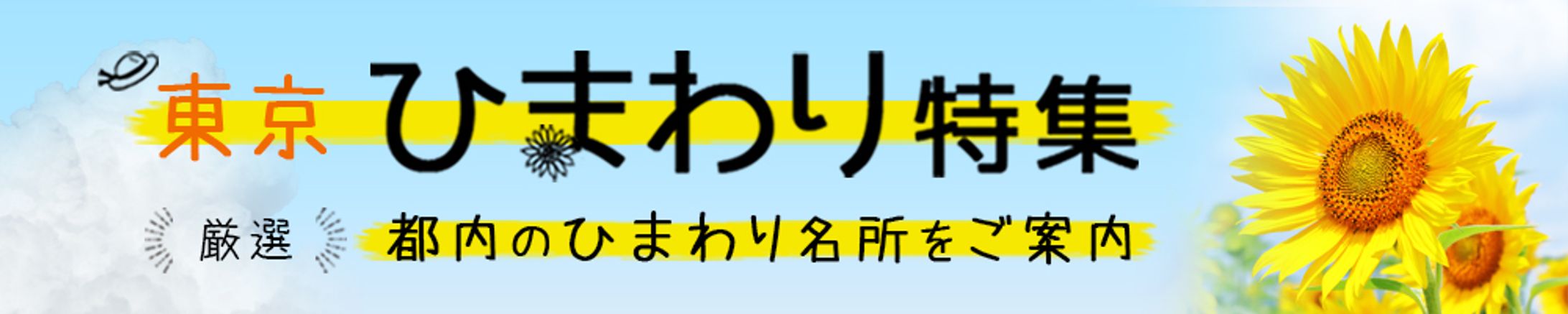 ひまわり特集　バナー-1