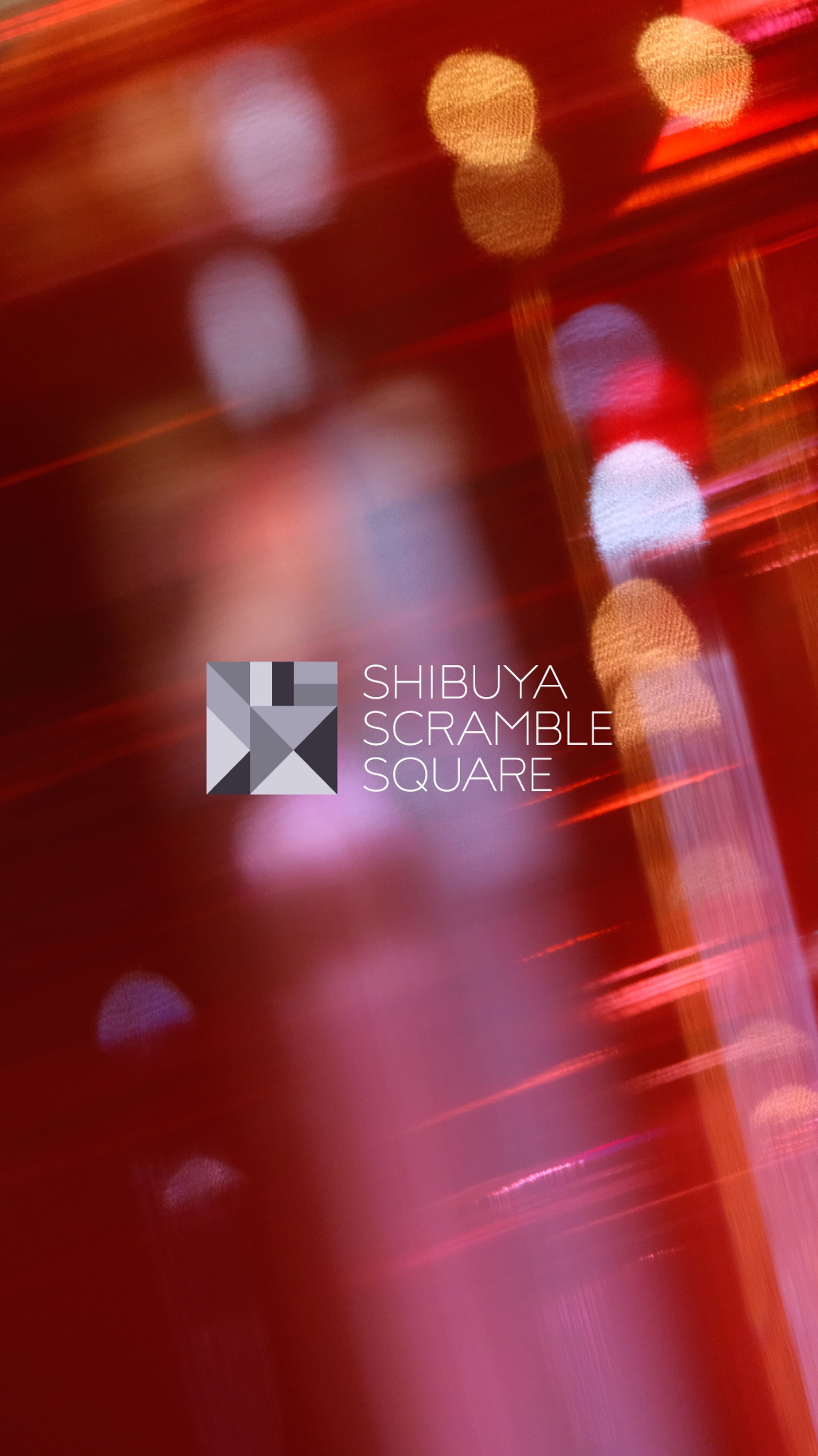 ファッション-1