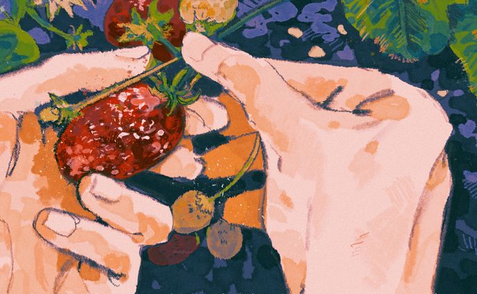 イラストレーター、グラフィックデザイナー、趣味絵