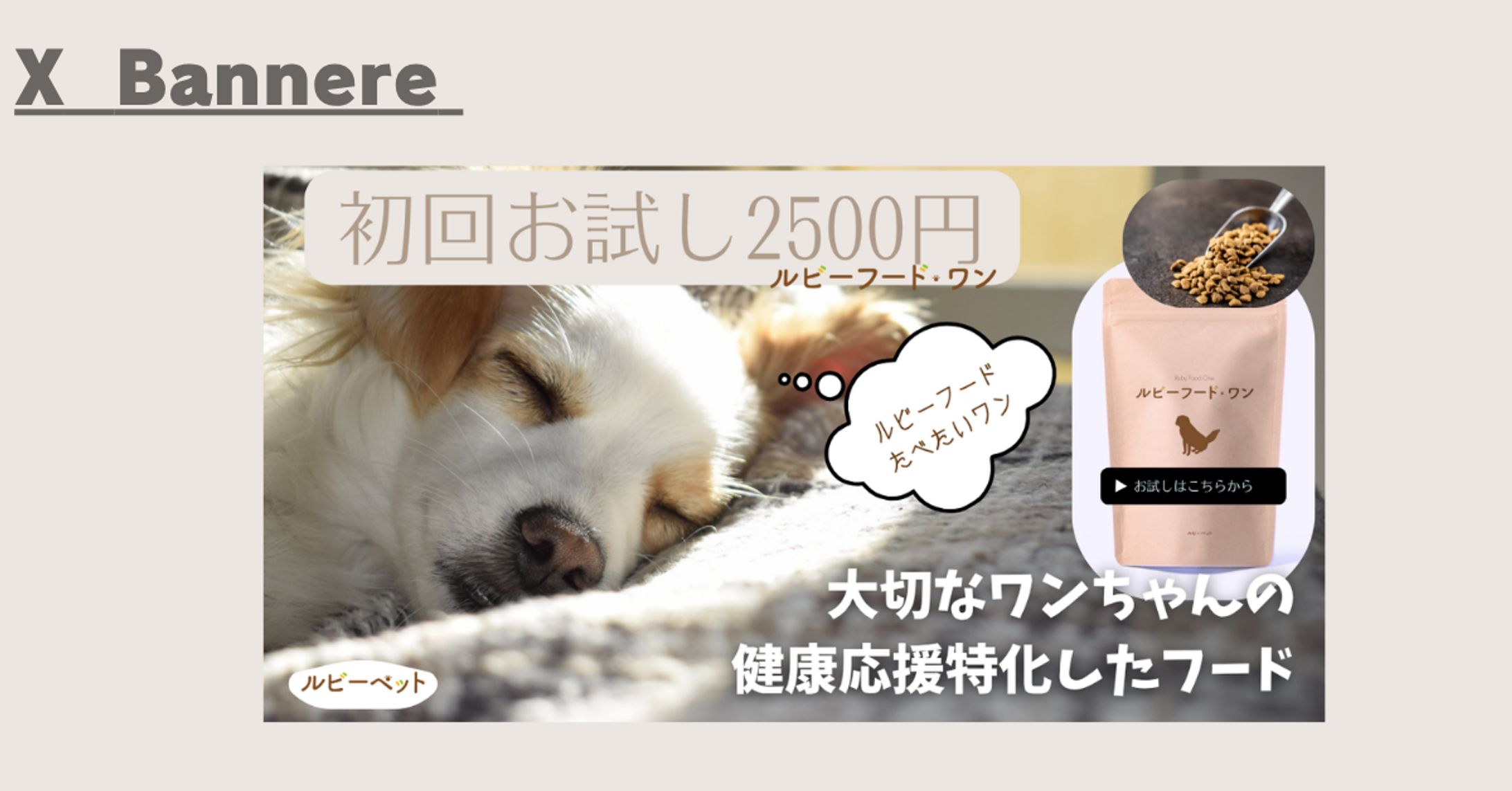 【Her Tech架空案件】ワンちゃんの健康応援バナー フード -1