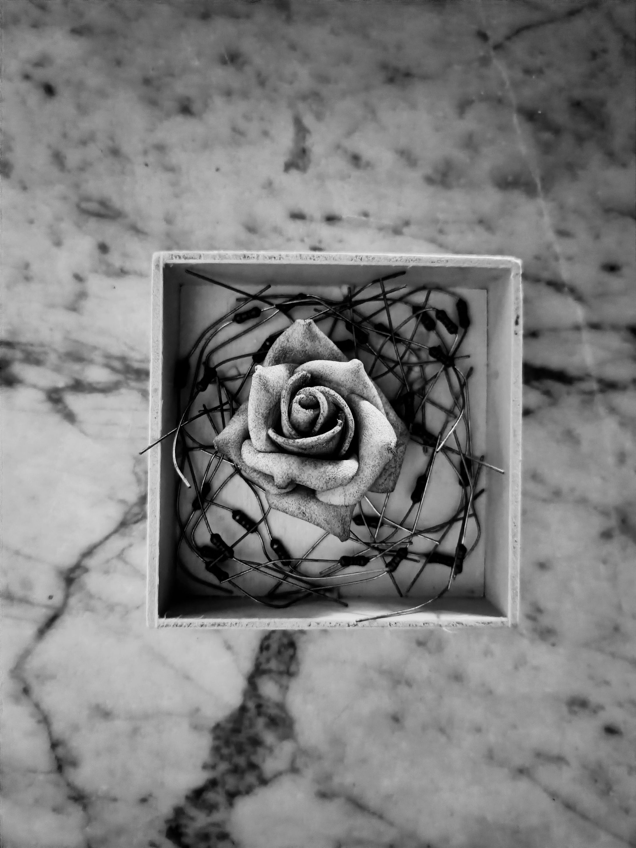 artificial nature-1