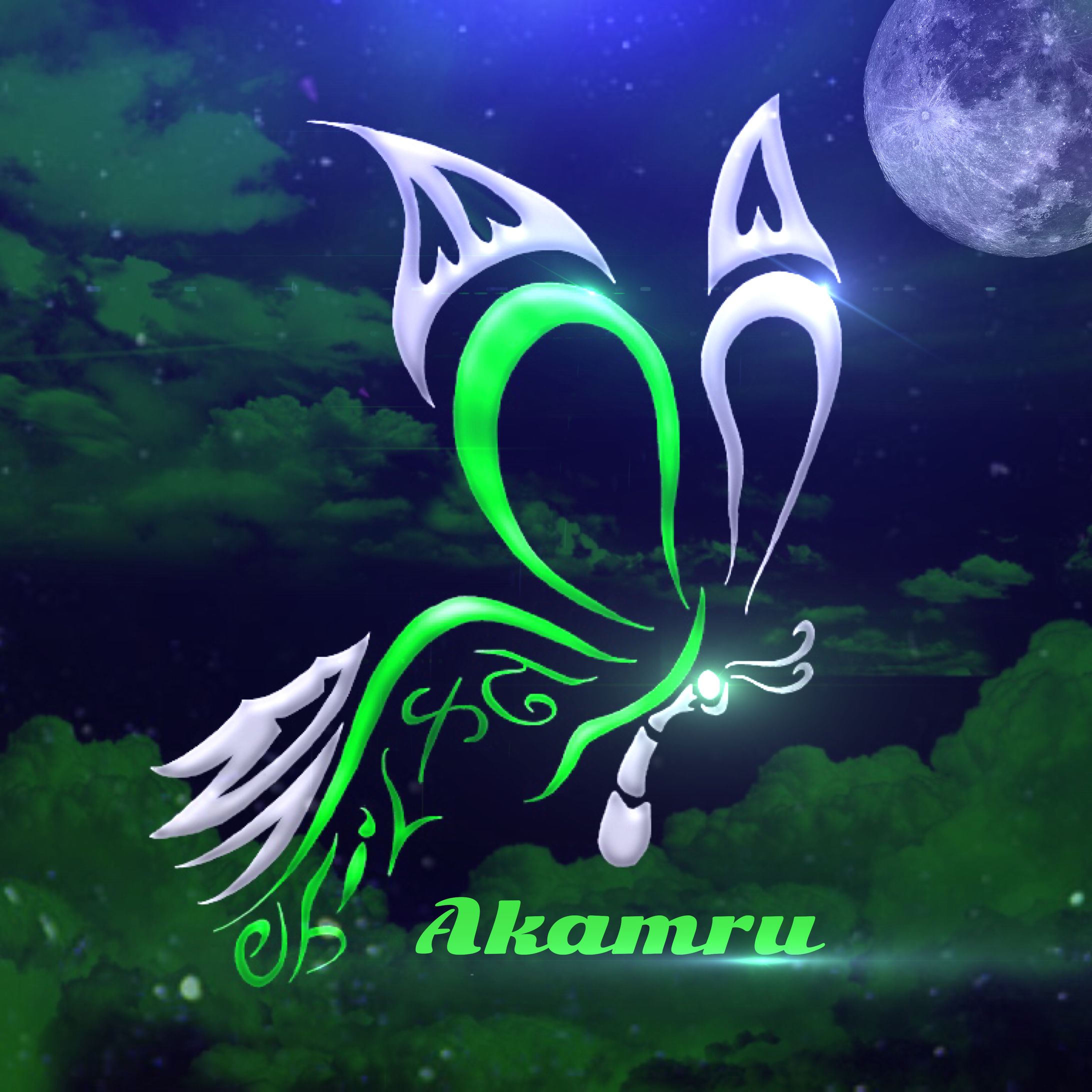 Avi -1