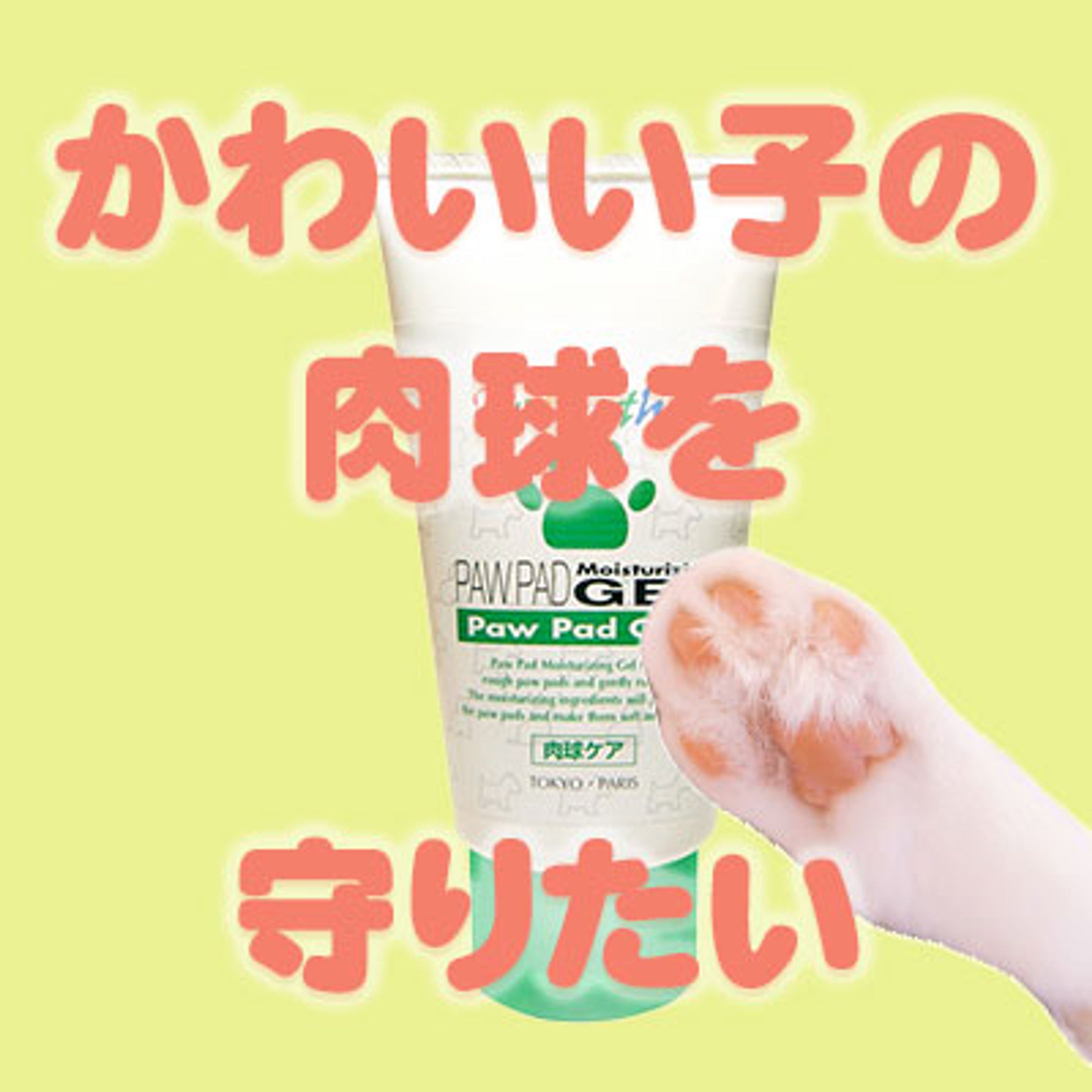 ペットショップ系のバナー制作（練習用）-1