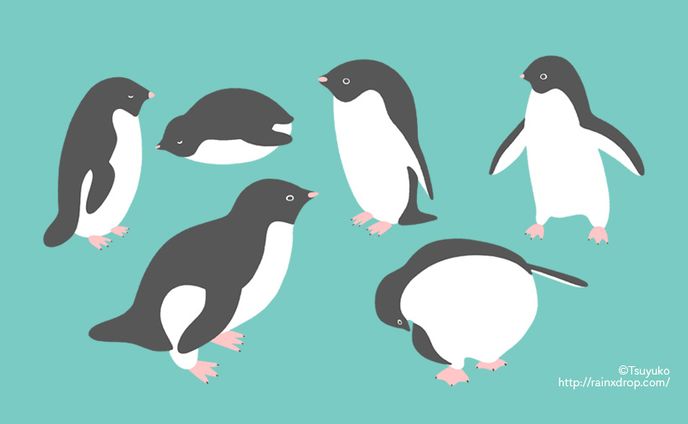 アデリーペンギン