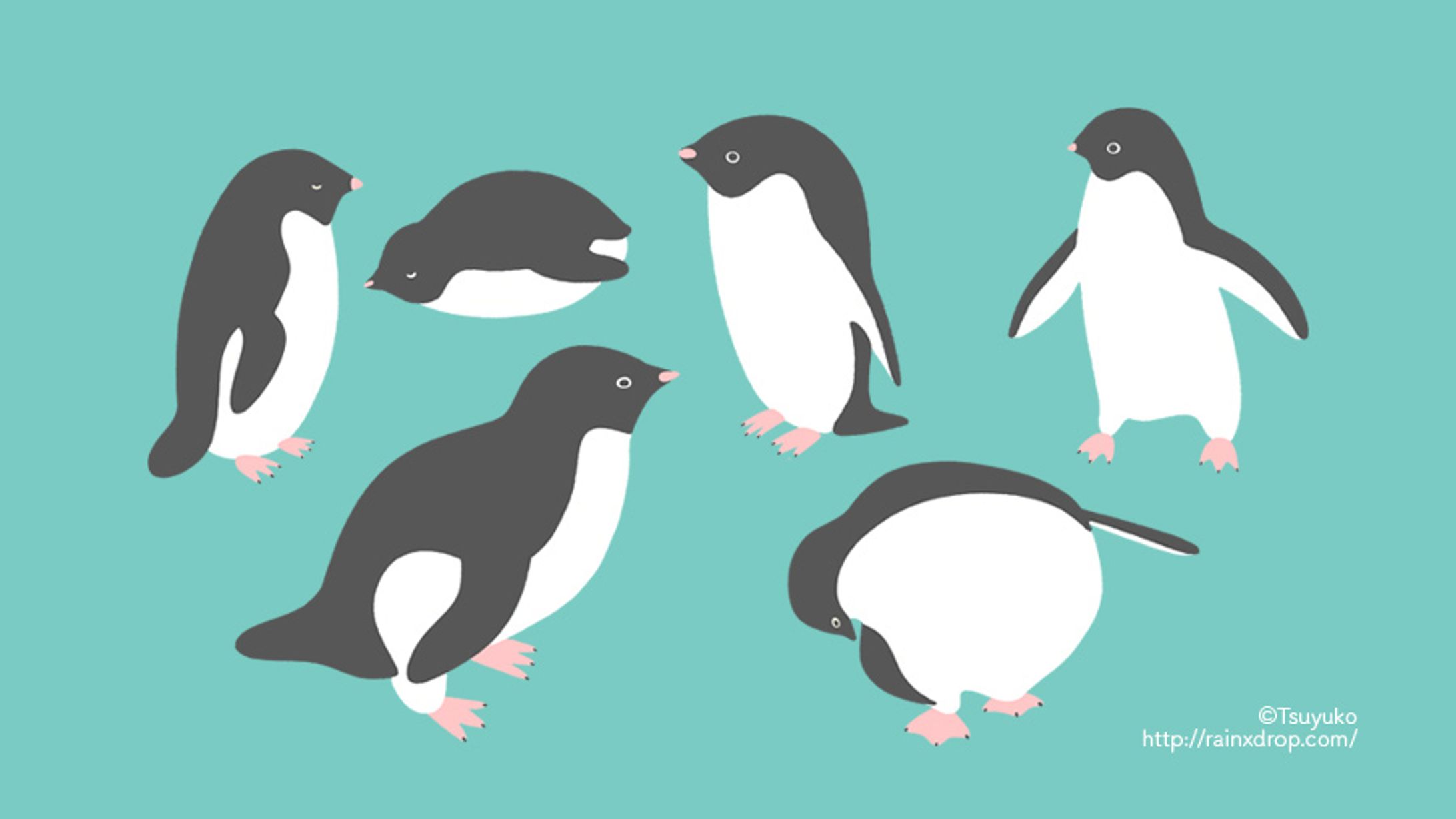アデリーペンギン-1