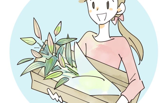 説明用イラスト