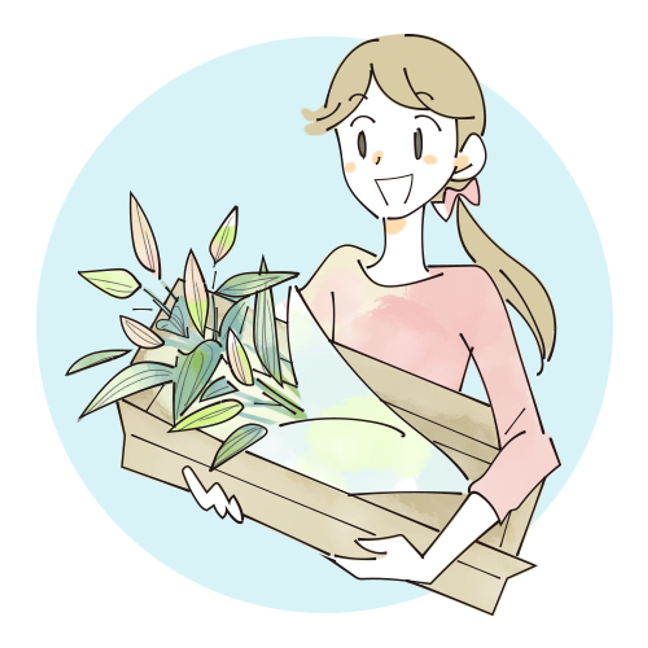 説明用イラスト-1