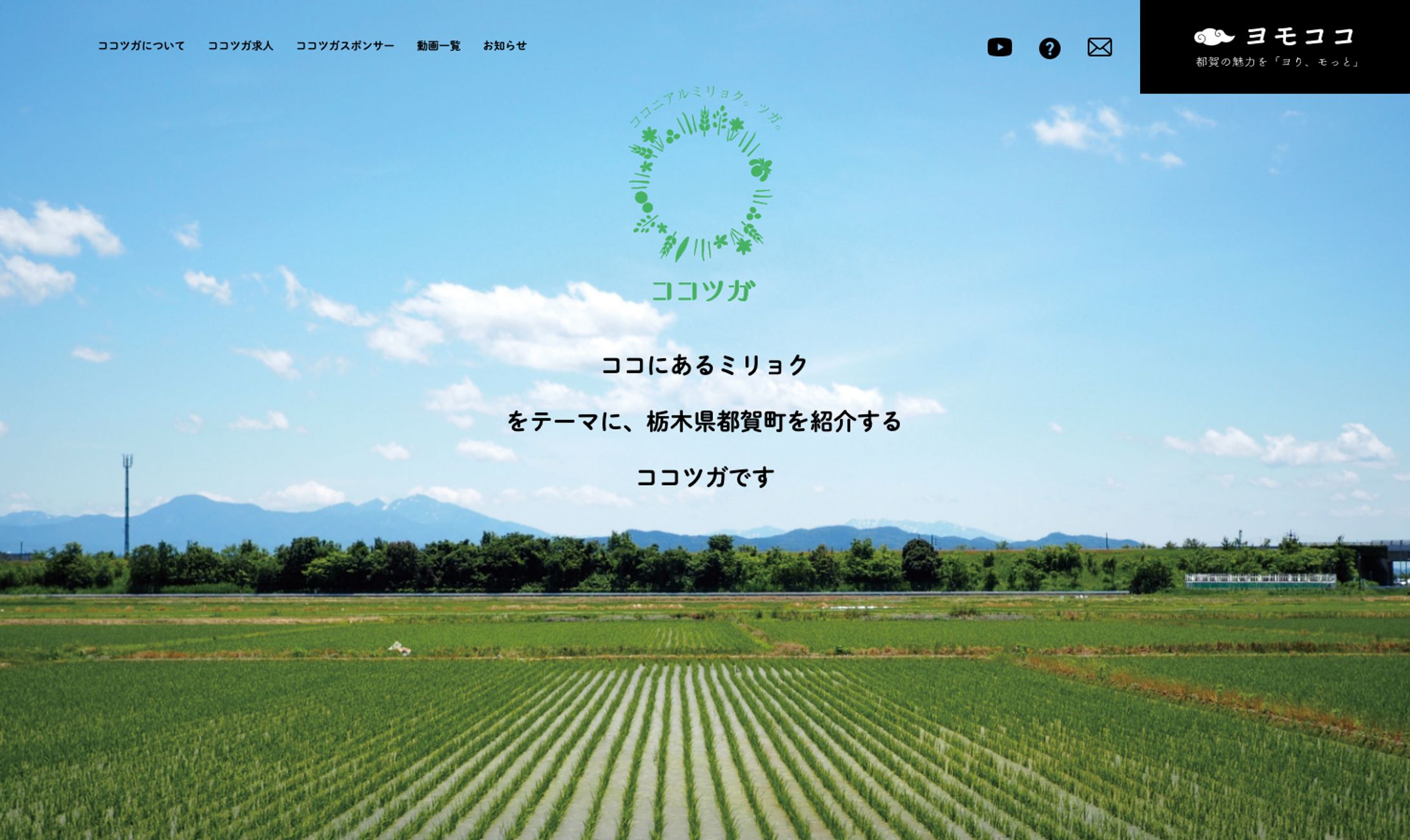 cocotsuga.com-1