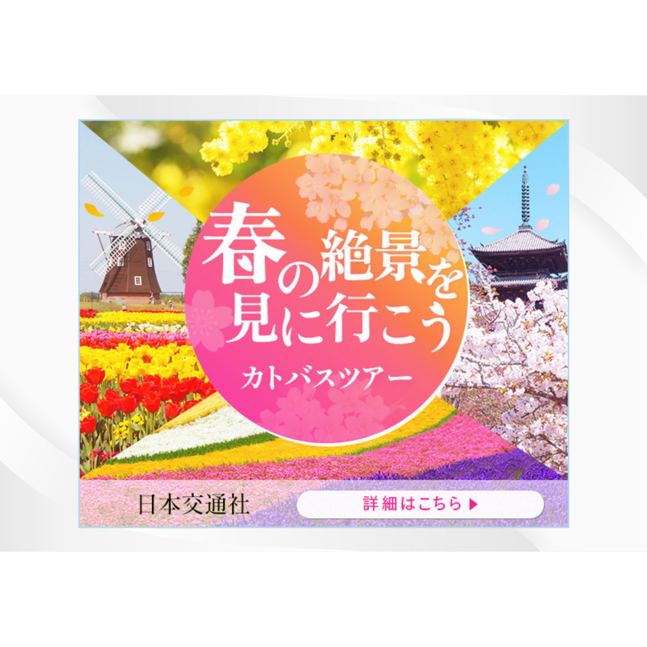 【自主制作】バナー 春の絶景観光-1