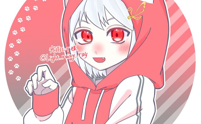 no、提供したもの