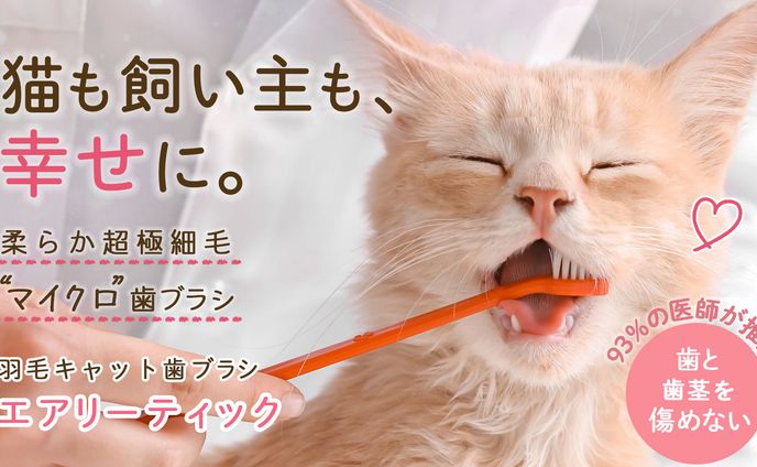 猫関連商品LP挿入画像