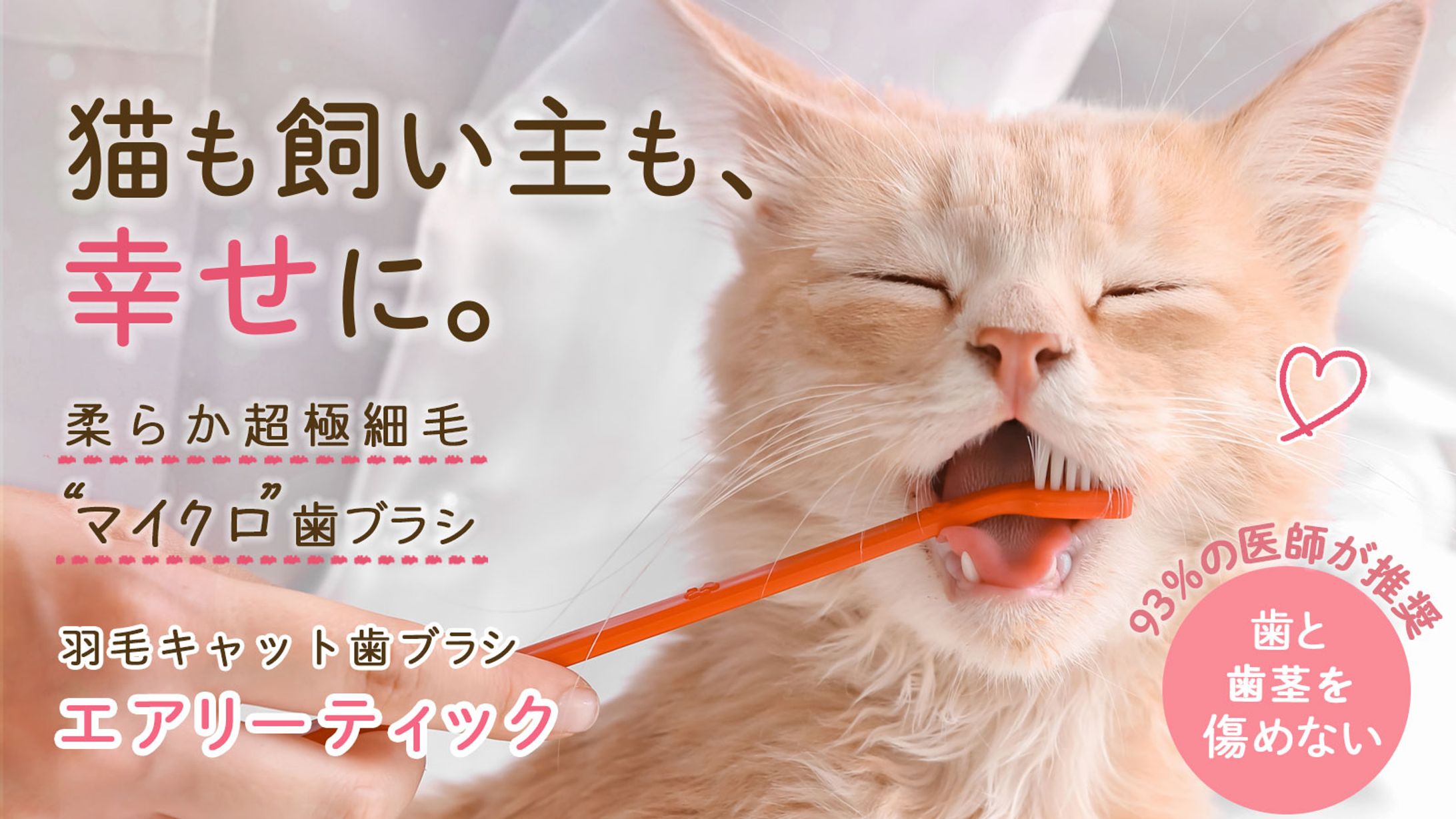 猫関連商品LP挿入画像-1