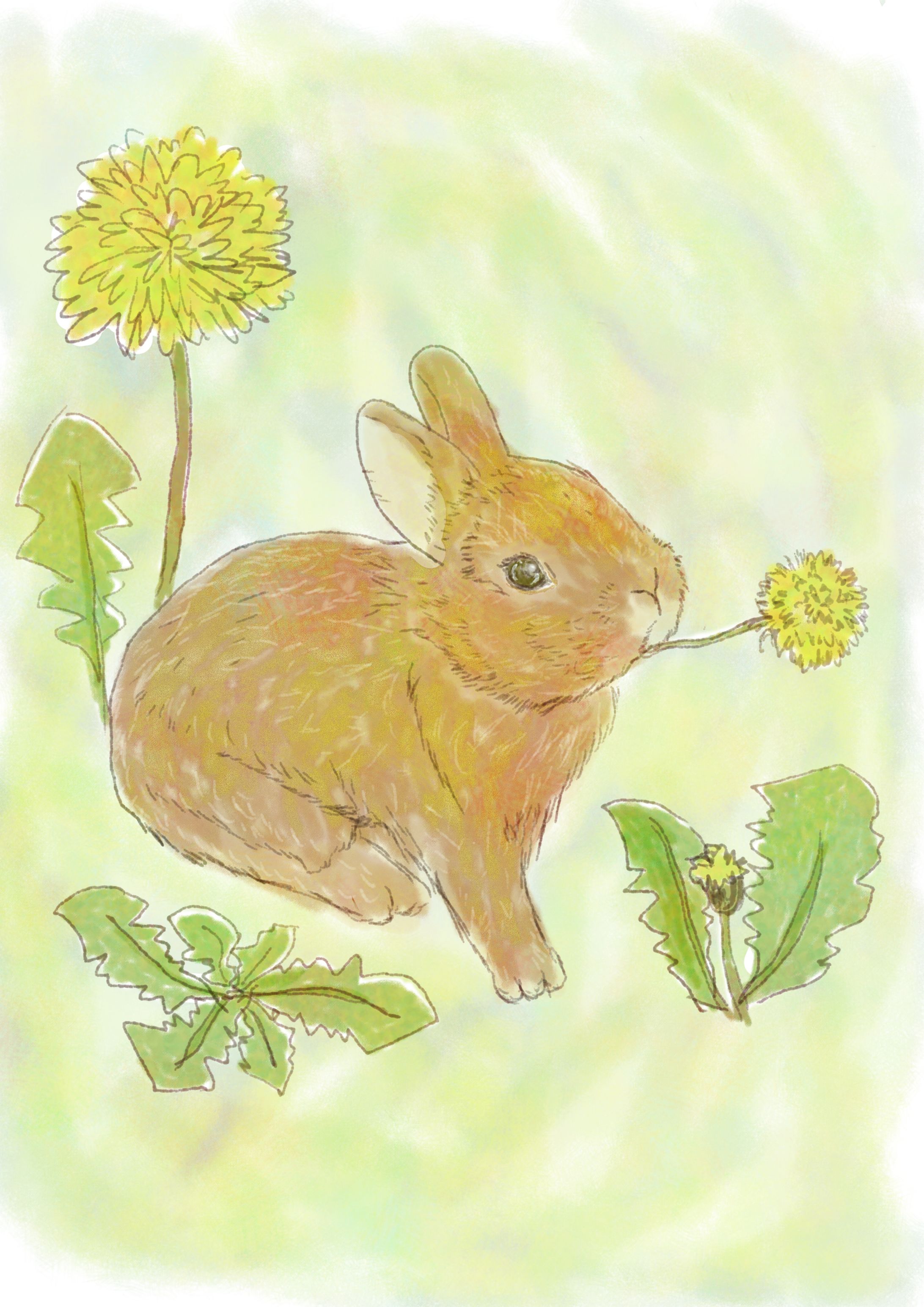 動物イラスト-1