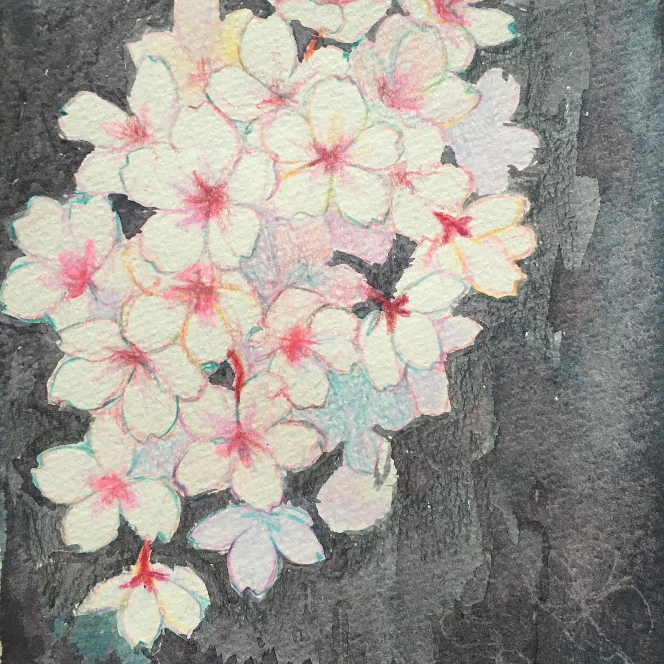 さくら🌸

#drawing #Illustration #illust #watercolor  #dailyart #graphic
#artwork #artist #artsy #artistic #paint #painting #watercolorpainting 
#一个例证  #图片 #イラスト #水彩 #水彩画 #일러스트 #오에카키 #데생  #色鉛筆
#宇野亜喜良　#竹久夢二-1