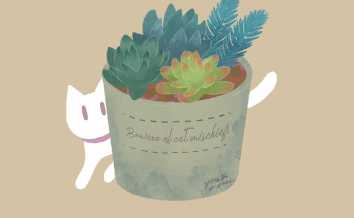 しろねこと多肉植物