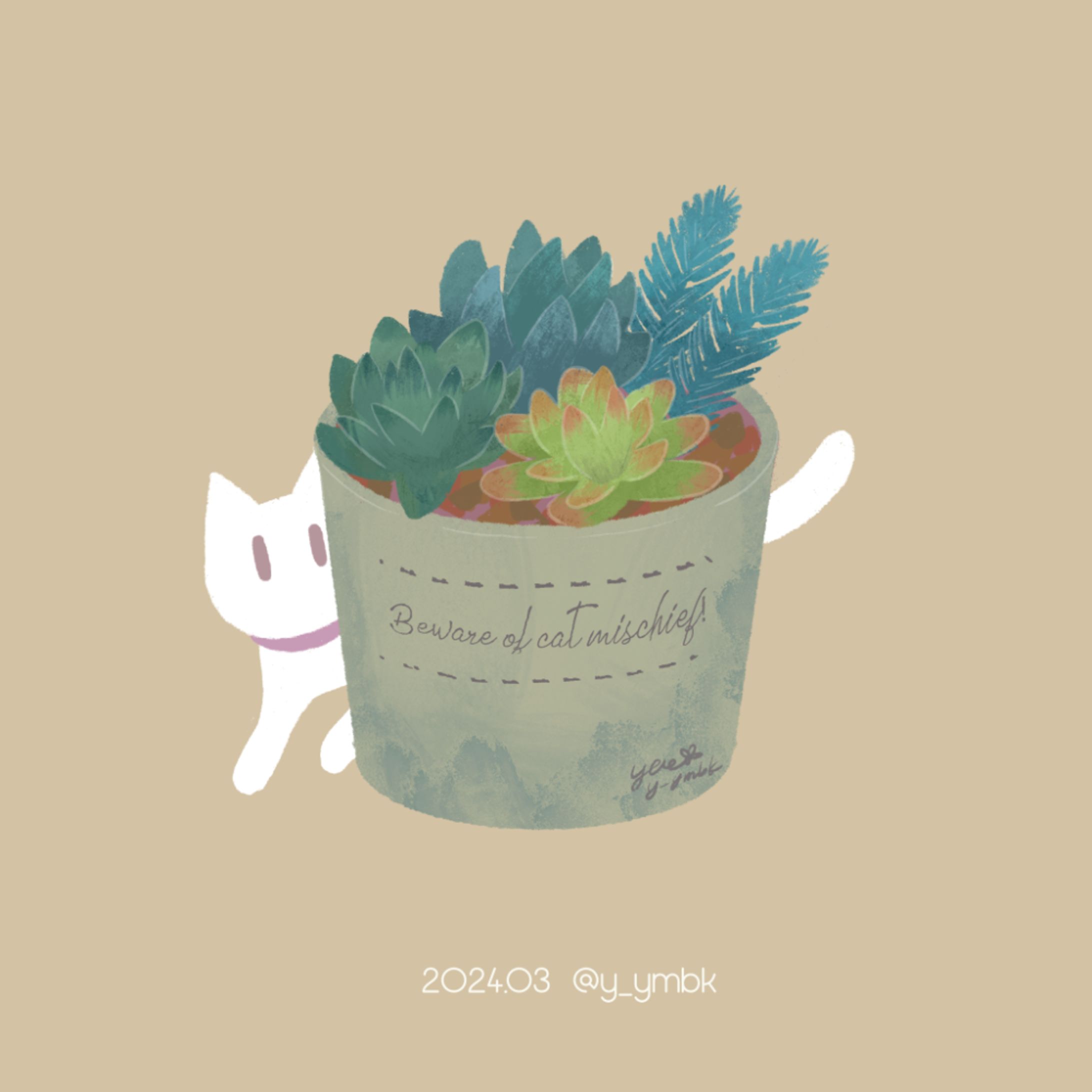 しろねこと多肉植物-1