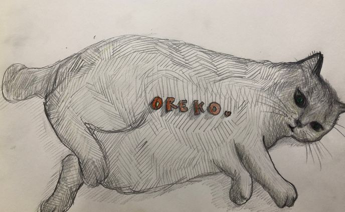 Oreko