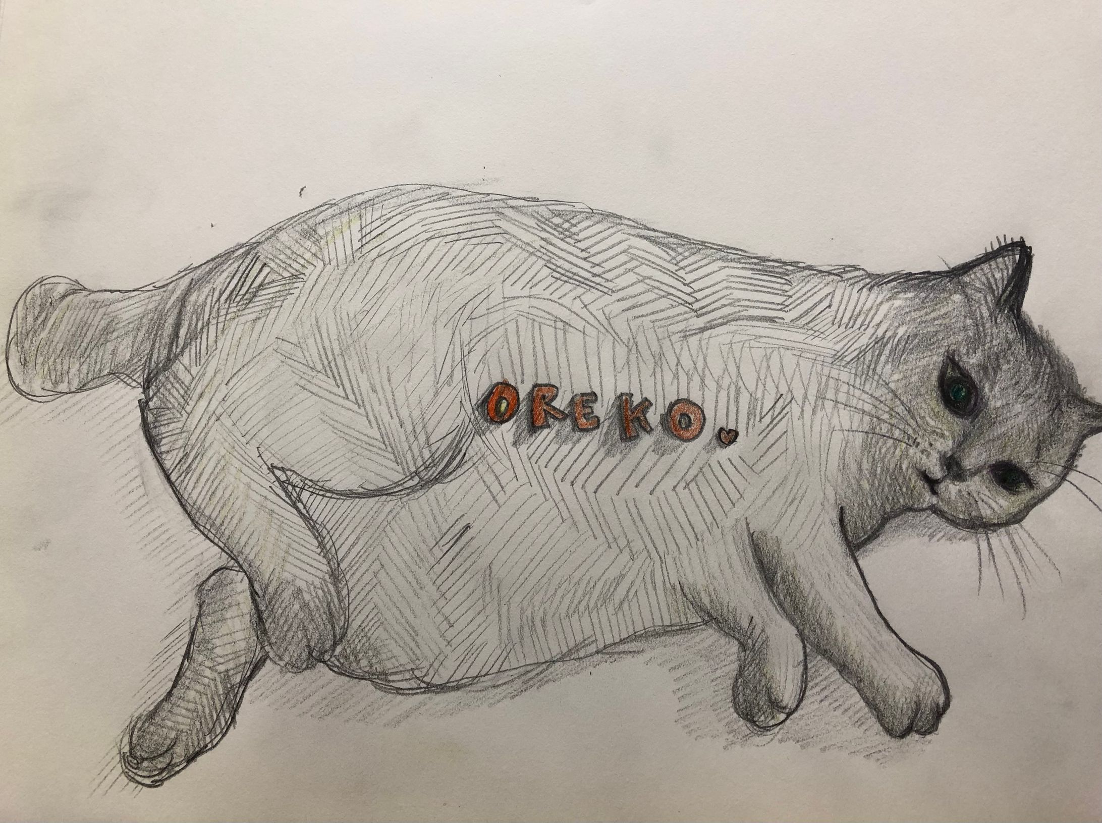 Oreko-1