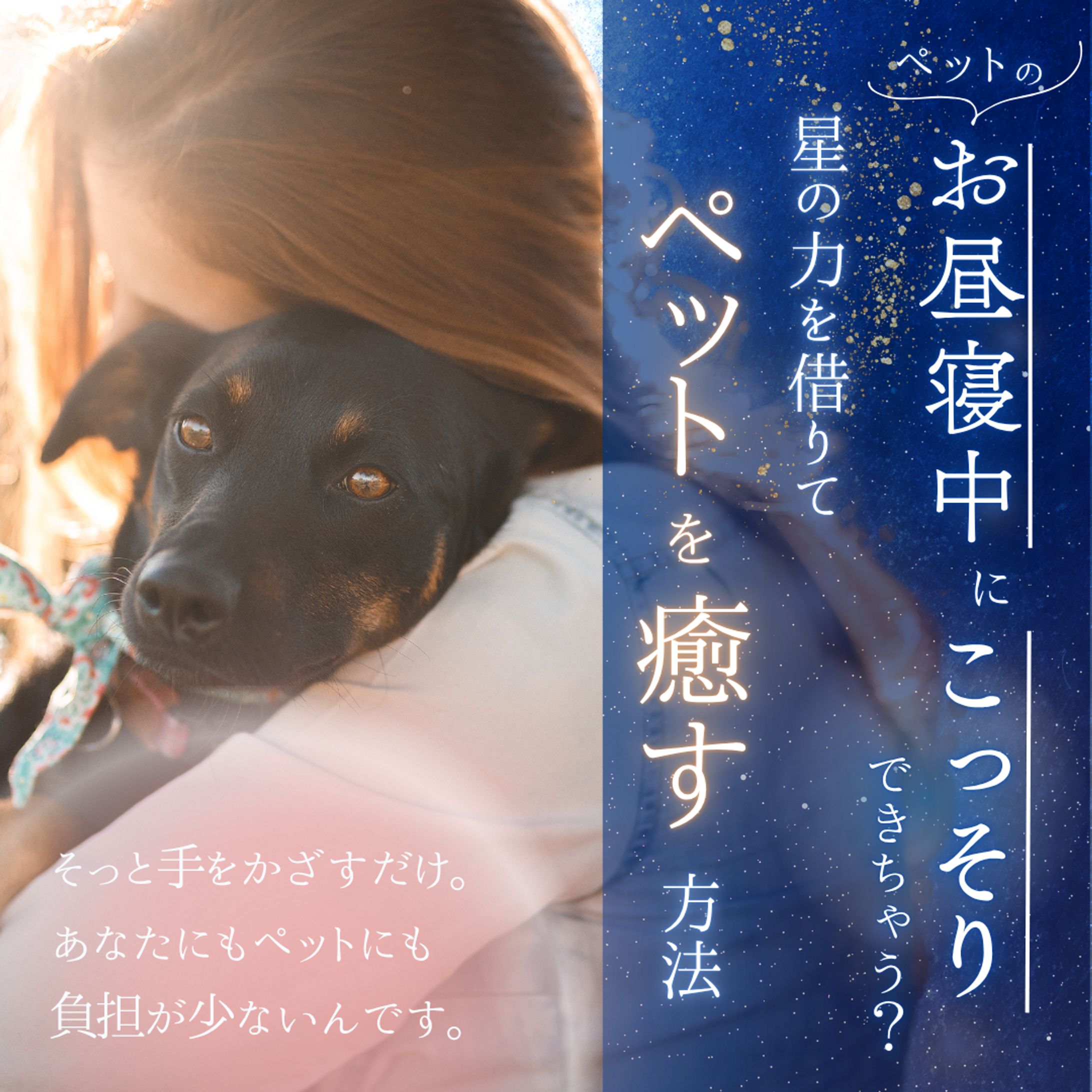 ペット向けセラピー-1